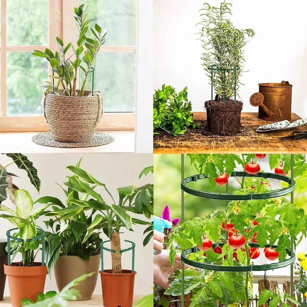 Supporto per Piante,Sostegno per Piante Collegato,Tutore per Piante,Supporti per Piante,Sostegni per Piante Rampicanti per Pomodori Peonie Vite Piante Rampicanti (Diametro 25cm)