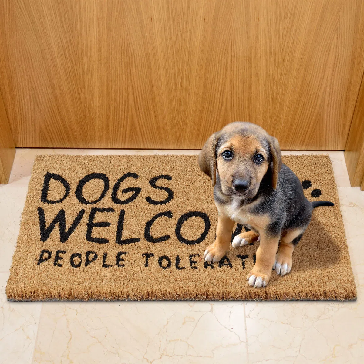 Relaxdays Zerbino, Fibra di Cocco, Frase Dogs Welcome, Zona Interna ed Esterna, LP40x60 cm, Antiscivolo, Naturale/Nero