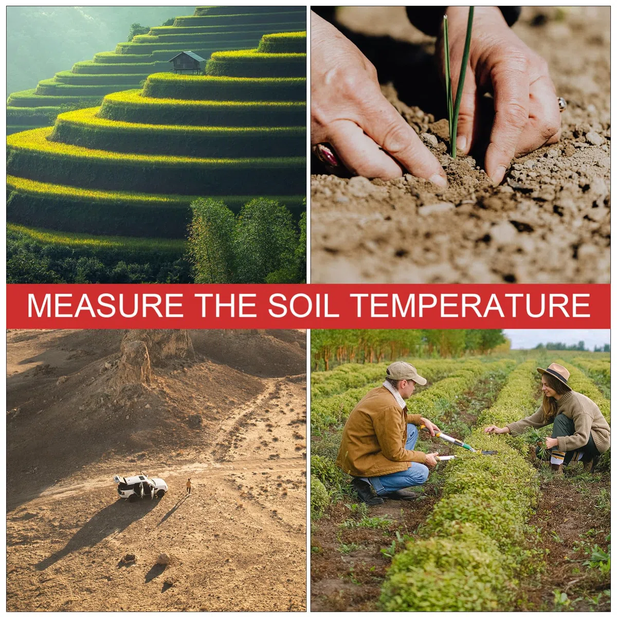 BESPORTBLE 3 Termometri Per Terreno Con Sonda Di Temperatura Per Giardinieri E Compostatori Domestici
