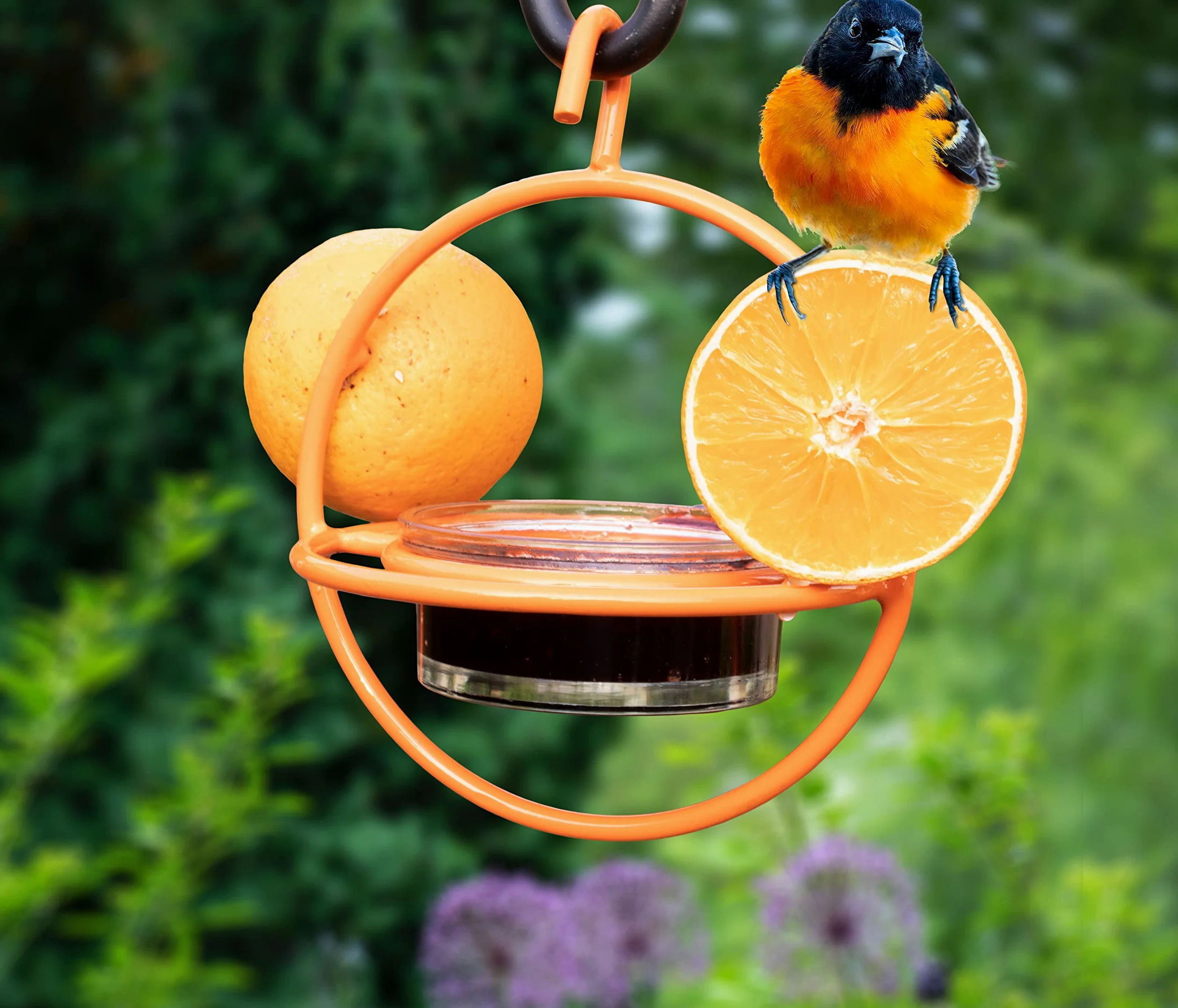 Monarch Abode Mangiatoia per uccelli da appendere all'esterno, arancione, 18748