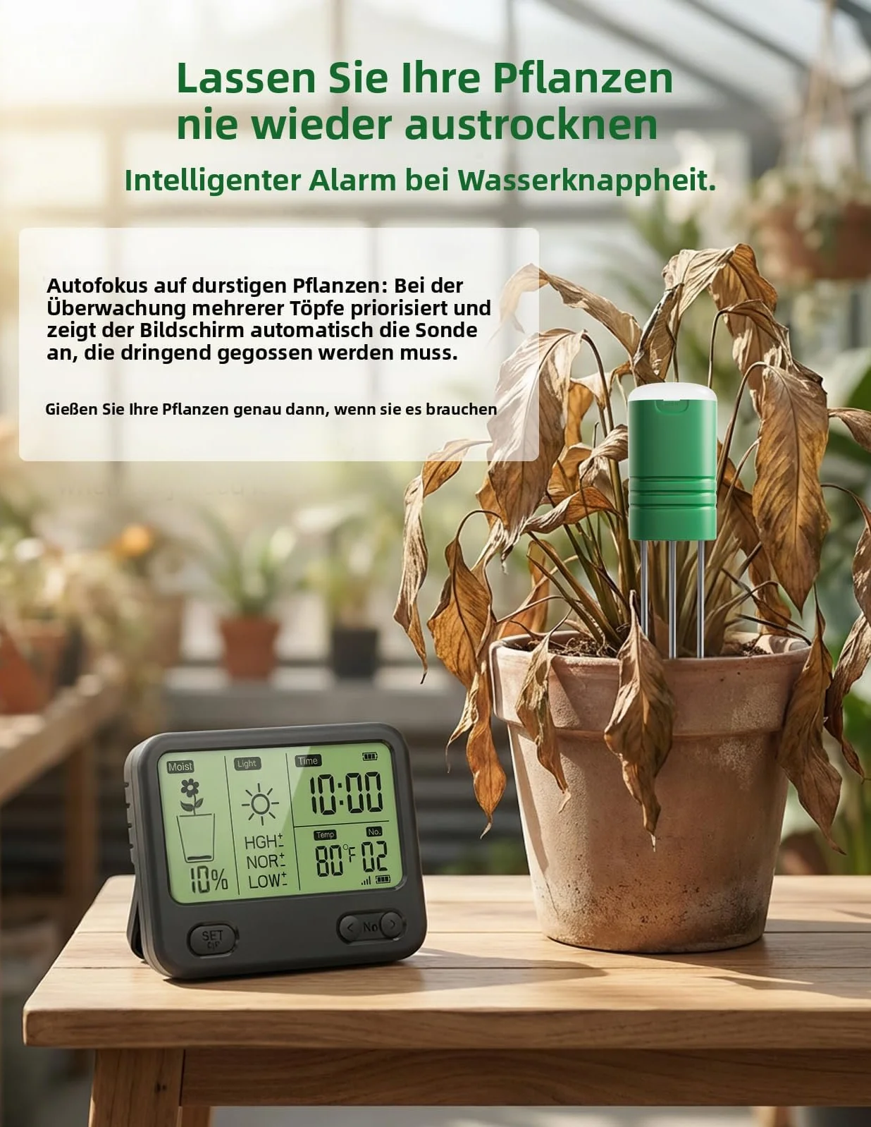 Umidimetro Senza Fili per Pavimento con Ricevitore LCD - Sensore 3 in 1 a 3 sonde (umidità, Temperatura, Luce), Raggio RF di 230 Piedi, Impermeabile, Lunga Durata (2 sensori)