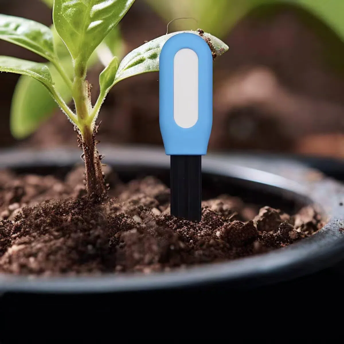 Sensore intelligente Zigbee per il terreno - Richiede TUYA HUB, supporta Zigbee2mqtt/Home Assistant (uso in giardino)