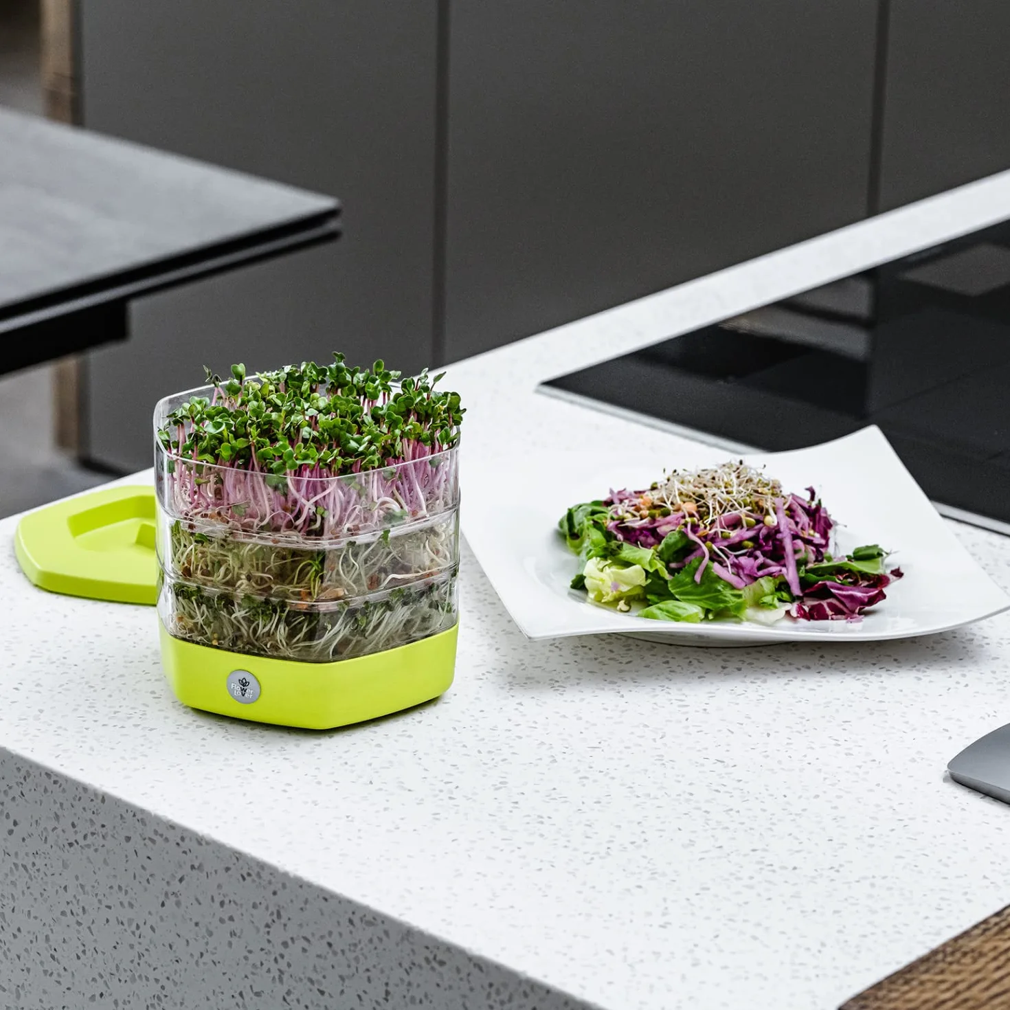 Germogliatore per Semi Alimentari con 3 livelli ø17 cm - Germinatore per Semi, Germogli, Microgreens - Germogliatore per Semi in Plastica, Grigio