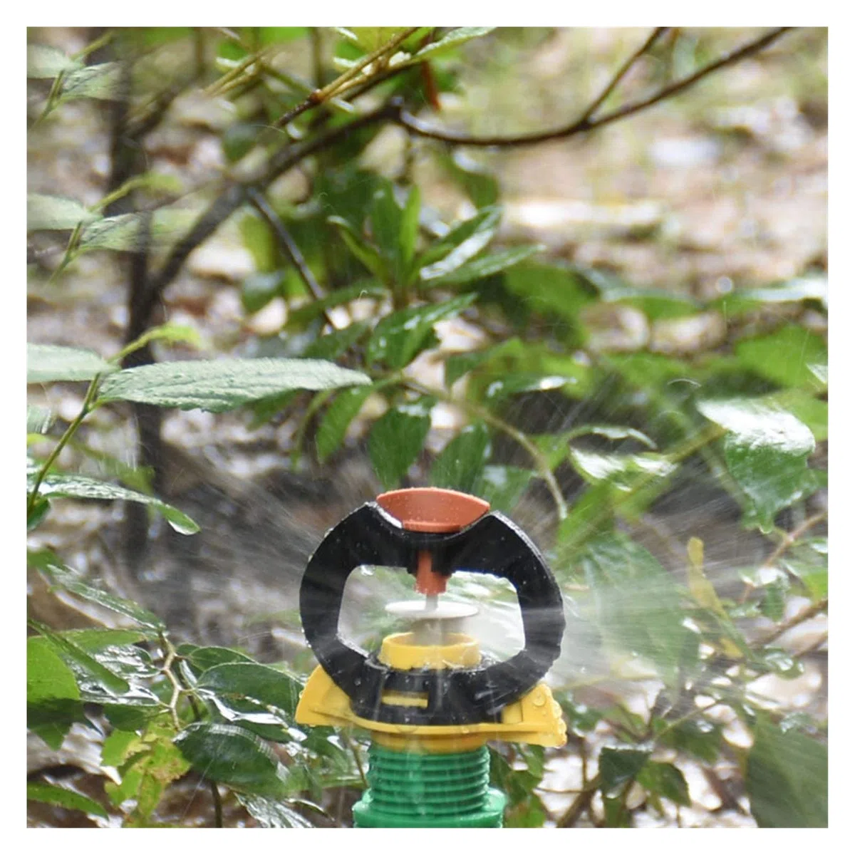 Connettore del Tubo Flessibile 1/2 3/4 Rotante Sprinkler Garden Watering Rain-Simile Rotante Pop-up di spruzzatore Giardino irrigazione del Prato 30pcs (Color : 1I2 3I4)
