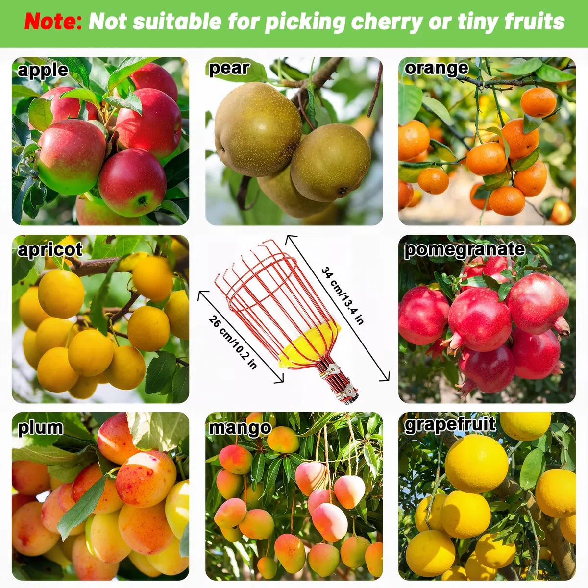 seOSTO Raccogli Frutta Telescopico, 4,2m,Raccogli Ciliegie Telescopico con Spugna e Borsa