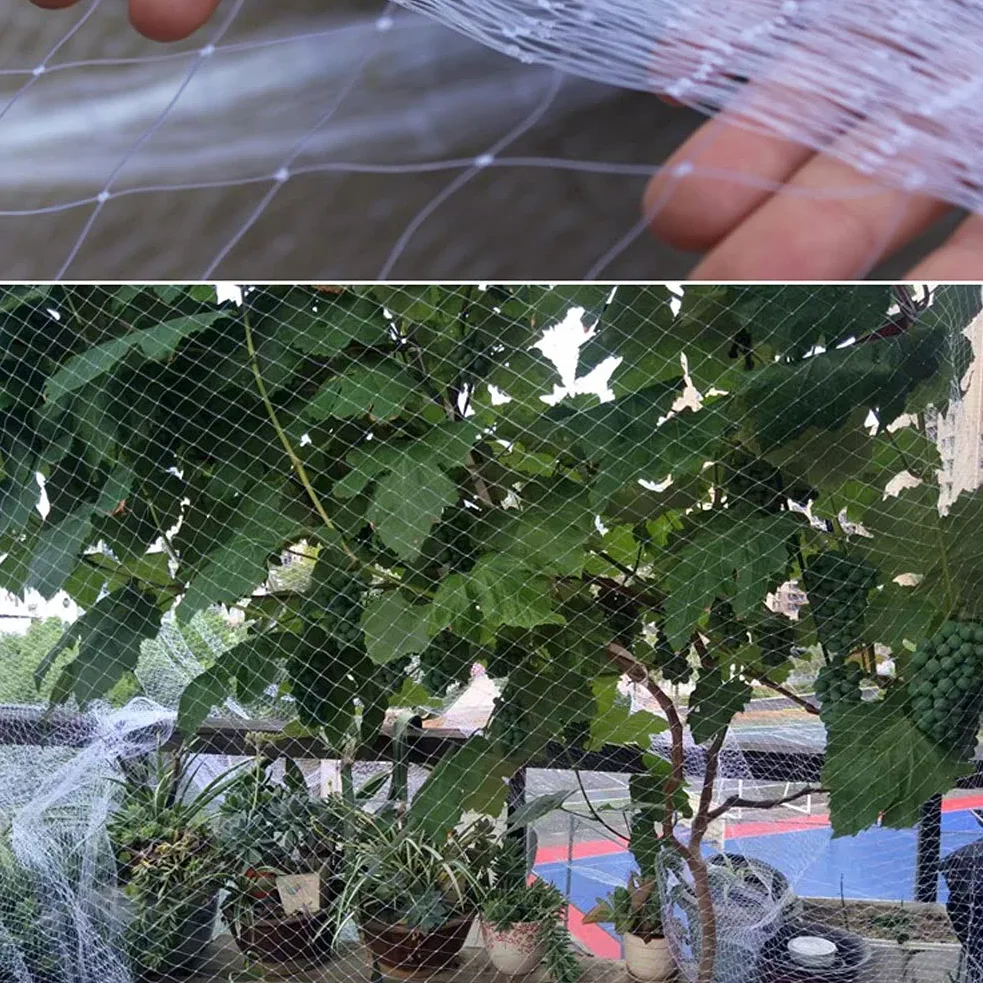 Rete per insetti a maglie strette， White Nylon Garden Bird Netting 2cm/2.5cm Mesh Bird Protection Multiple Sizes(2.5cm,3m x 8m)
