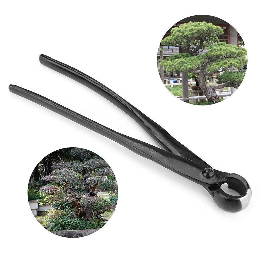 Taglierina concava - Taglierina per Rami con manopola concava con Bordo Arrotondato Nero Professionale, Strumenti per Bonsai da Giardino per Giardinaggio paesaggistico 210 mm / 8,27 Pollici