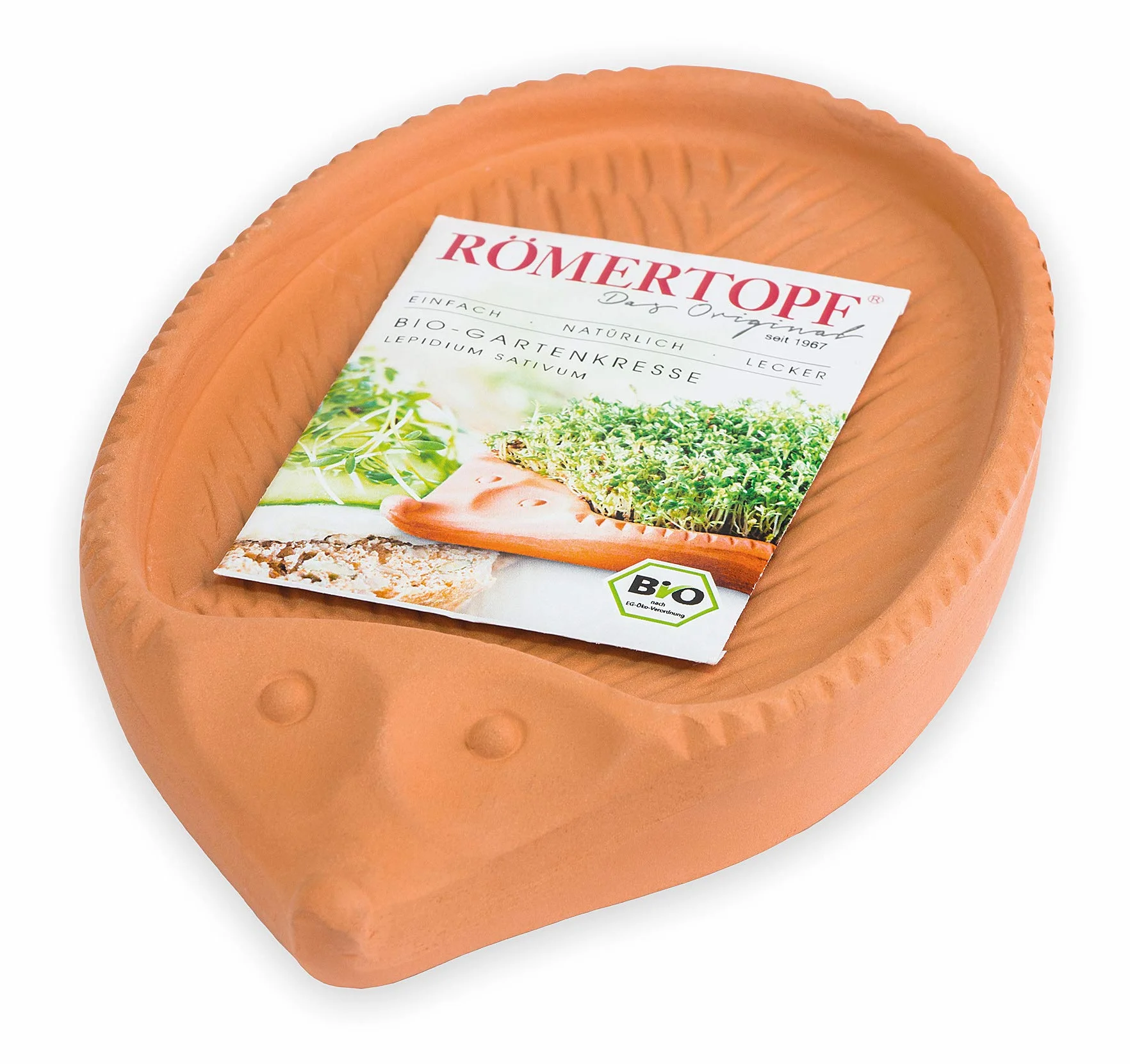 Römertopf Riccio Porta-Crescione in Terracotta Naturale – Semenzaio con Semi di Crescione, Coltivazione senza Terra, ca. 24 x 14 cm, Lavabile in Lavastoviglie, Idea Regalo per Bambini
