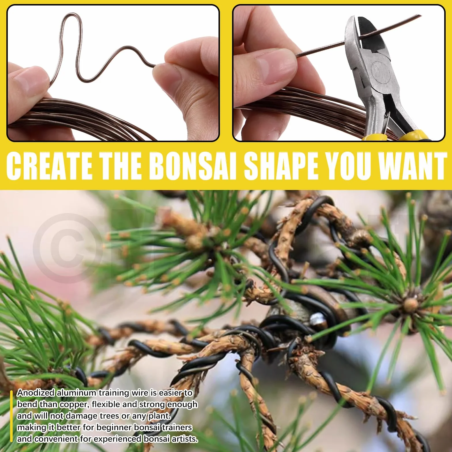 Kit di 6 fili per bonsai da 0,8 mm, 1 mm, 1,5 mm, 2 mm, 3 mm, filo di alluminio anodizzato, filo di alluminio per bonsai con tronchi per la progettazione di rami di bonsai