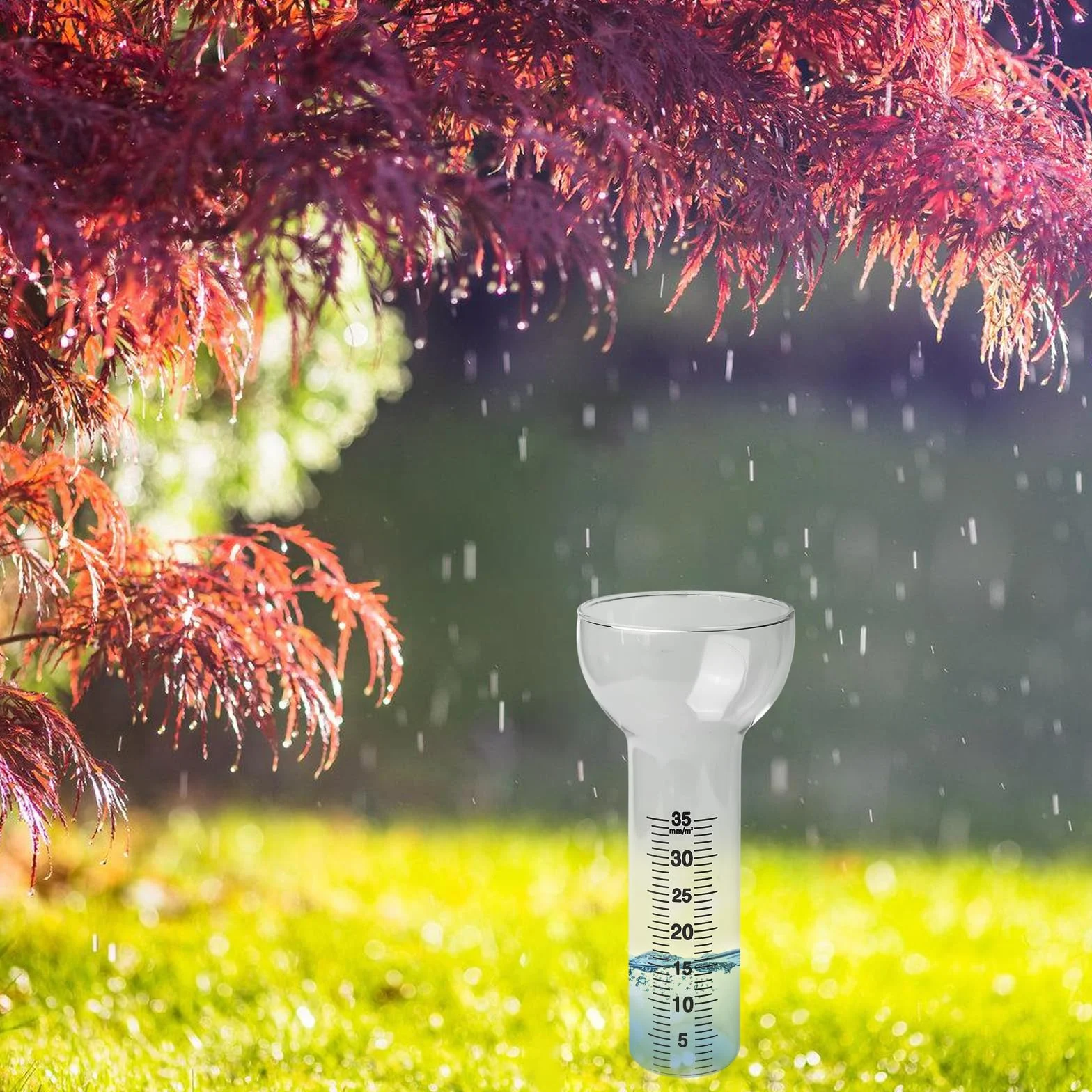 BAIFULAI 2 pluviometro antigelo, vetro di ricambio per misurazioni da 1 a 35 mm, pluviometro in vetro, Rain Gauge, a forma di imbuto per la visualizzazione dell'acqua da giardino all'aperto per la