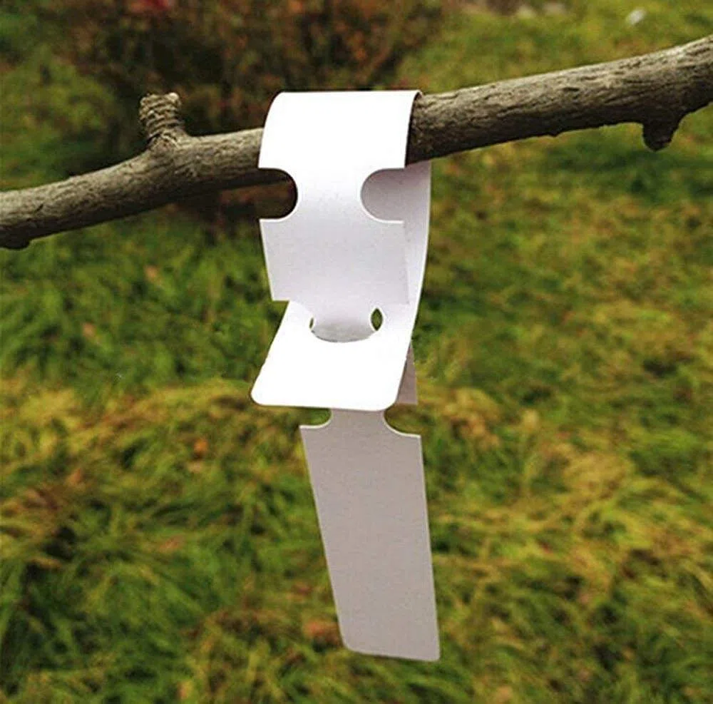 KINGLAKE 600 pezzi 21X2CM etichette targhette per piante etichetta di plastica giardino esterna Etichetta da appendere ad anello ，bianco