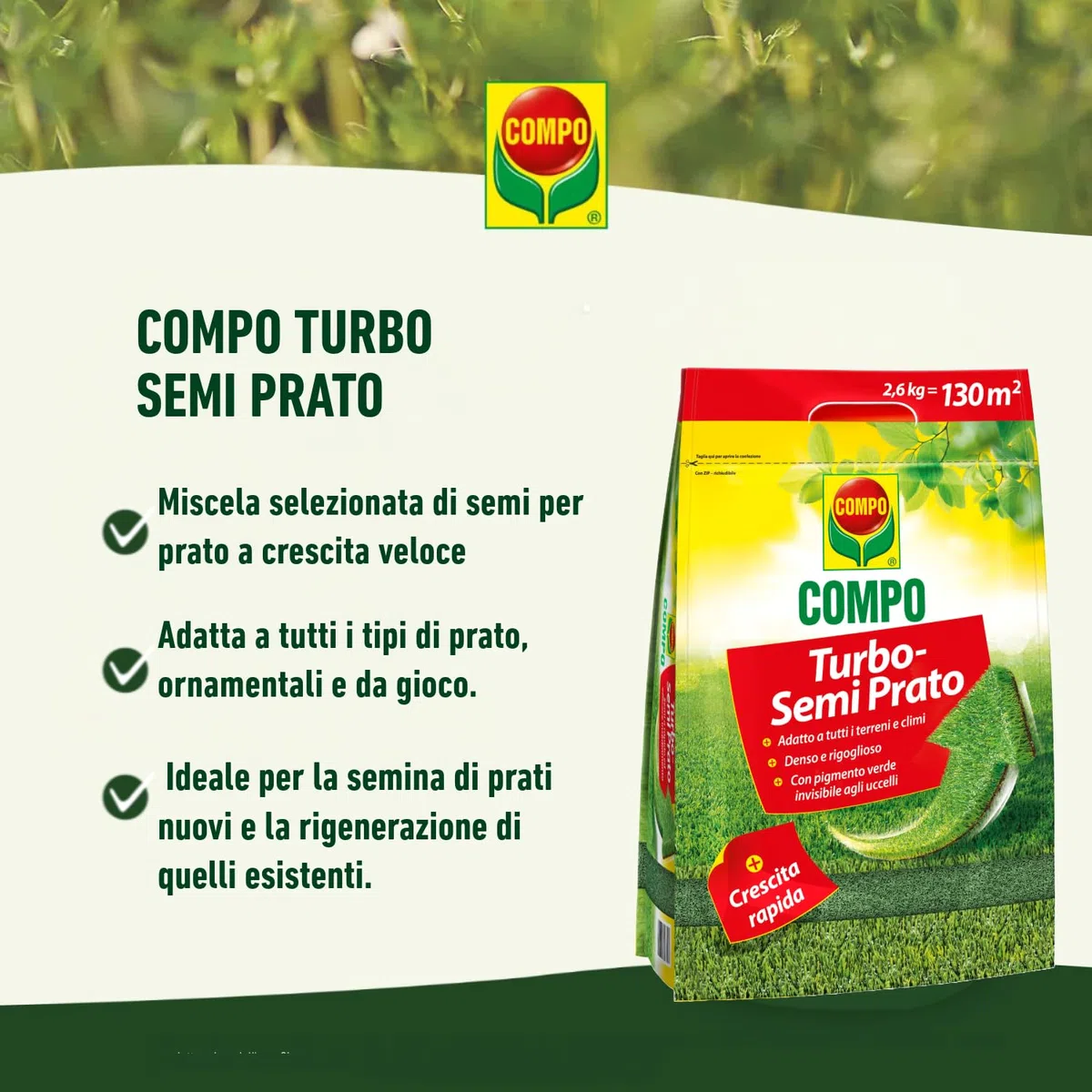 COMPO TURBO Semi per il Prato, Germinazione Rapida e Inseidamente Efficace, 2,6kg