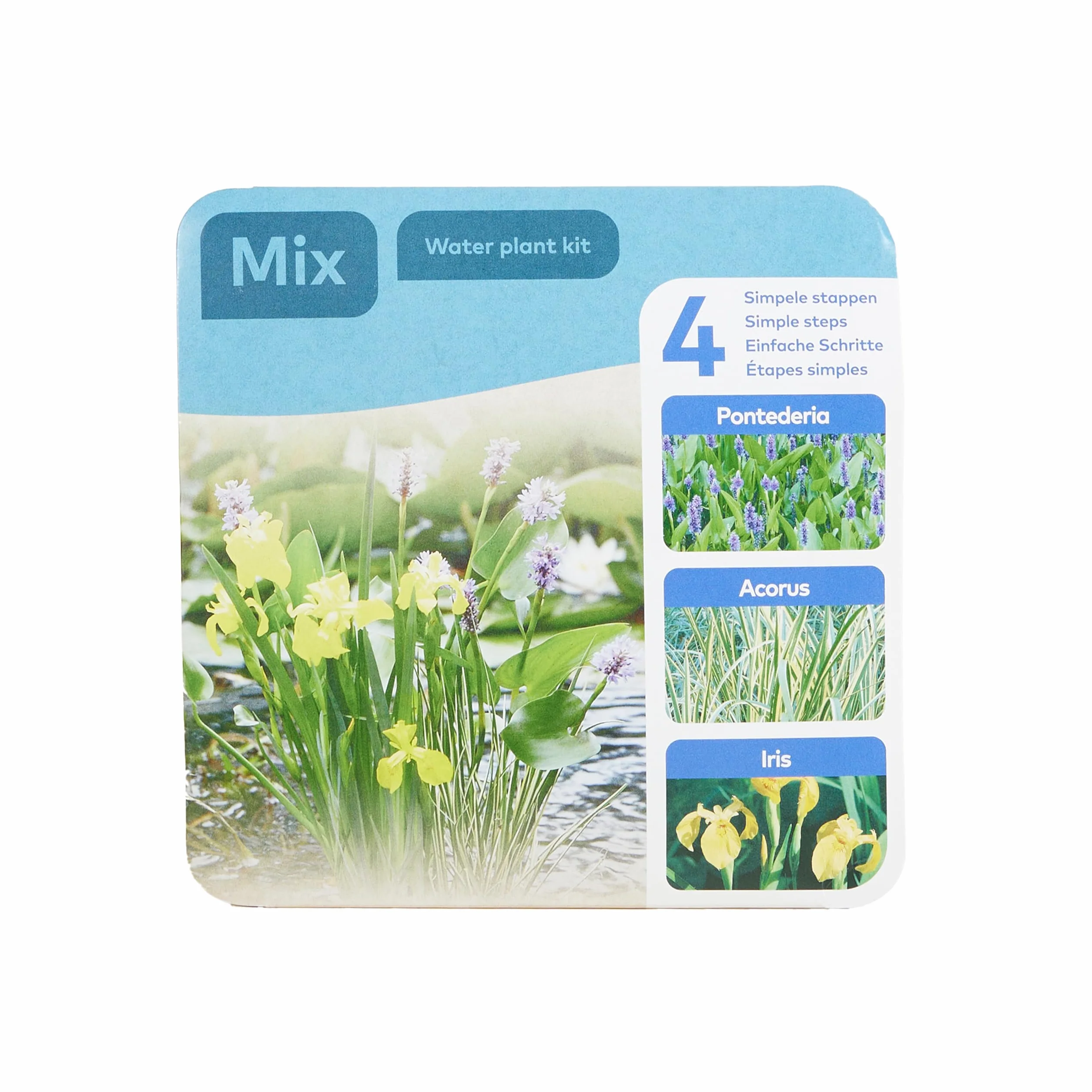 Bloomique - Set di 3 piante da laghetto - Set pronto all’uso - Confezione a secco - Con Pontederia, Acorus, Iris - Piante da laghetto - Piante acquatiche - Cestino 18 cm
