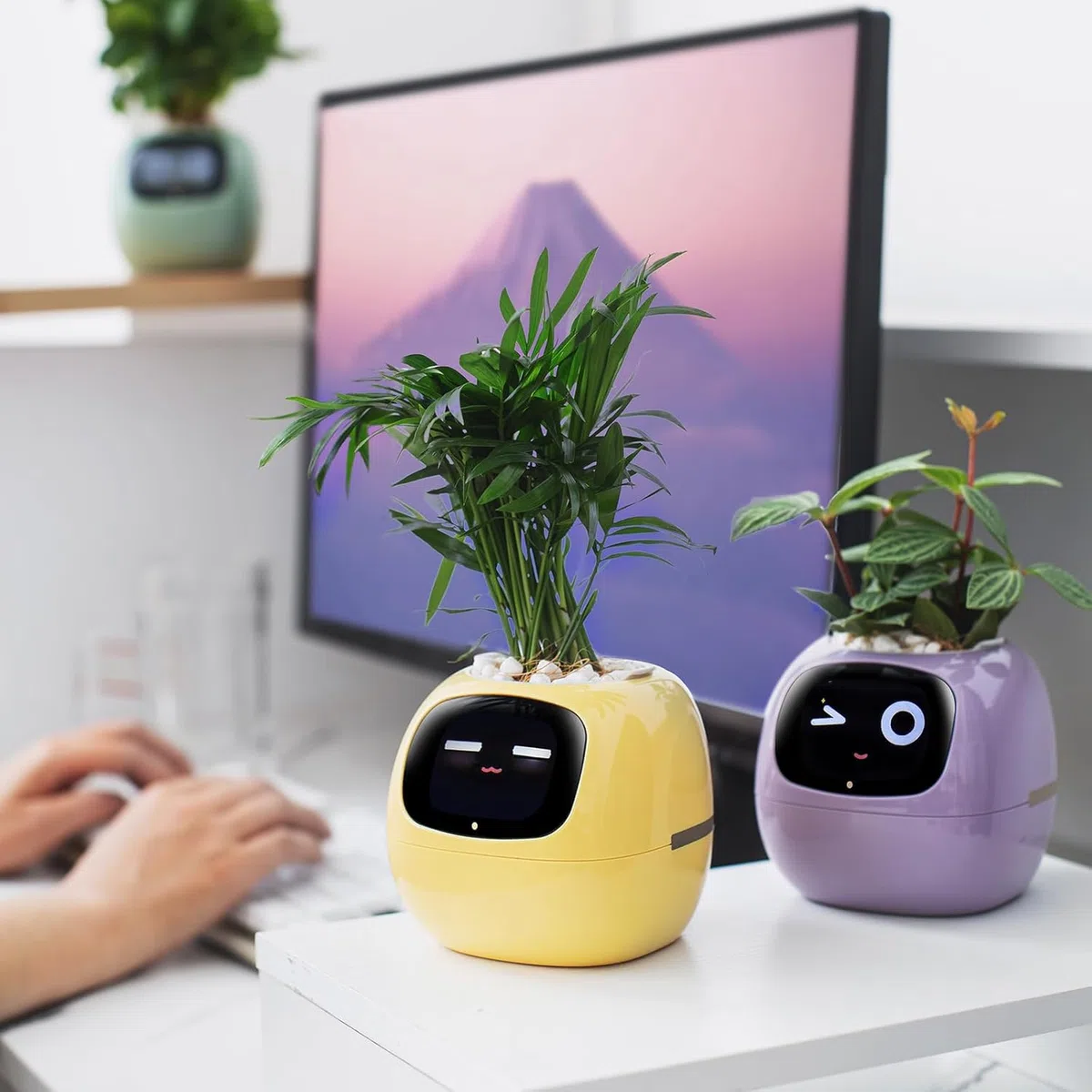 PLANTSIO Ivy - Vaso da fiori intelligente per la decorazione della casa, ideale per la casa, per la scrivania, idea regalo, per la cura delle piante, con emoji e amici animali domestici (Bianco latte)