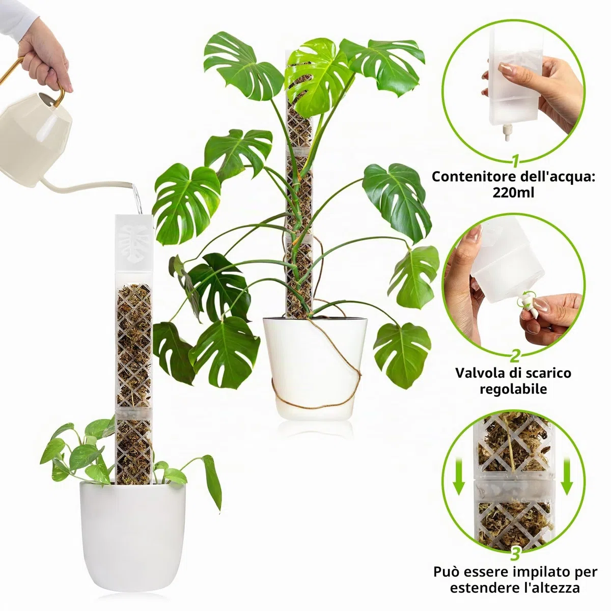 Moss Pole di Plastica, 4 Pezzi 35 cm (Palo per Piante Rampicanti + Inserimento a Terra) + 150 g Muschio, Palo di Sfagno per Piante Rampicanti da Interni ed Esterni, Sostegno per Piante