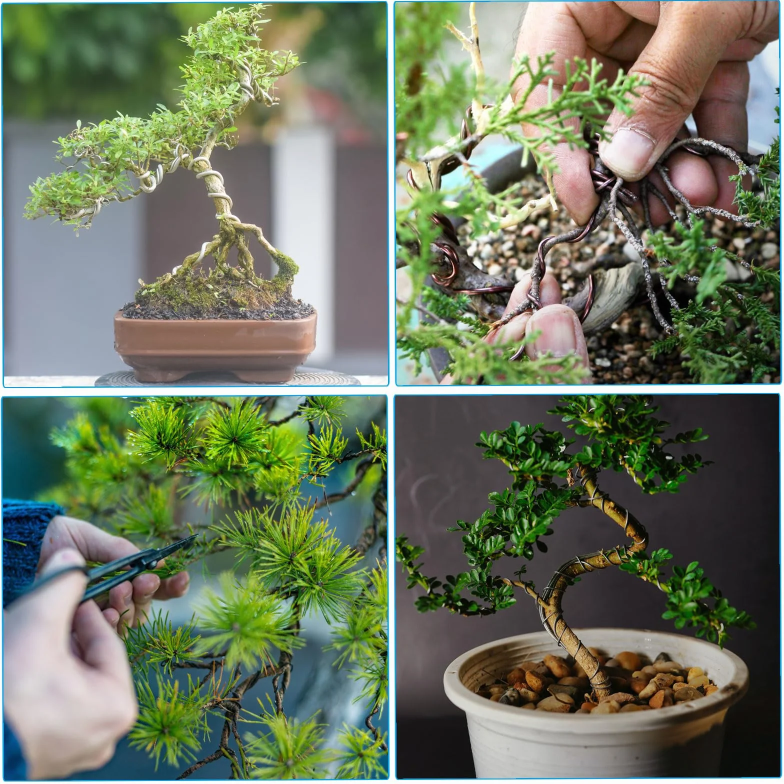 PATIKIL 2,5mm x 60 Piedi Filo di Allenamento per Bonsai, Steli di Filo Floreale Filo Albero in Alluminio Anodizzato per Fissaggio Rami Giardinaggio, Nero