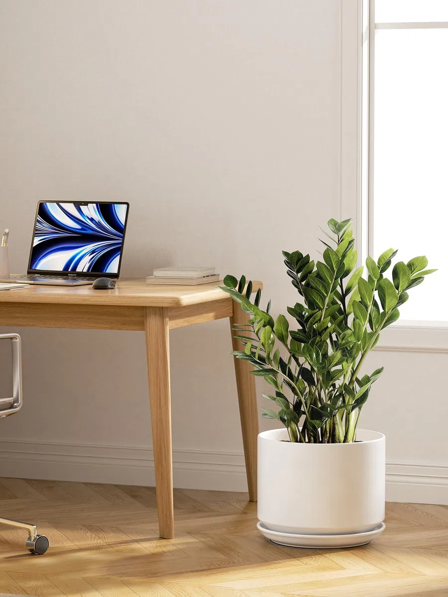 LE TAUCI Vaso per Piante da 30 cm, Vaso con Sottovaso Integrato e Foro di Drenaggio, Vaso in Ceramica Grande, Moderno e Resistente per Casa o Ufficio, Bianco Smalto Opaco