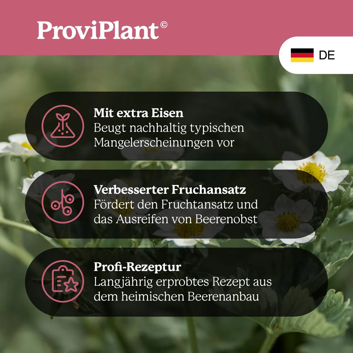 Fertilizzante liquido per frutta alle bacche – Per fragole, lamponi, mirtilli & Co – 1 litro concentrato per fino a 200 litri di acqua – Serra e aiuole – Made in Germany