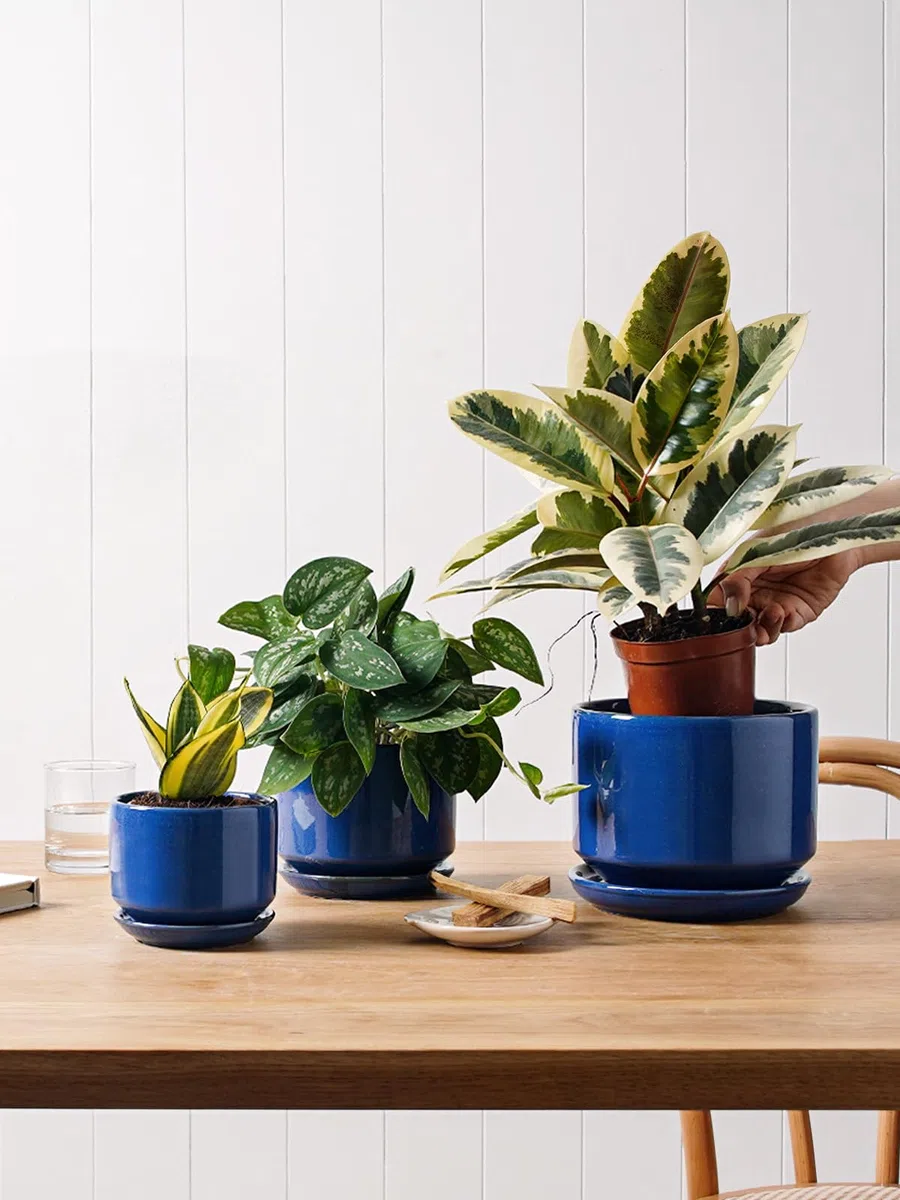 LE TAUCI Set da 3 Vaso in Ceramica per Piante, 11+13+17 cm di Diametro Vaso per Piante da Interno, Vasi Piccoli con Sottovaso e Foro di Drenaggio, Regali per la Mamma, Blu Zaffiro