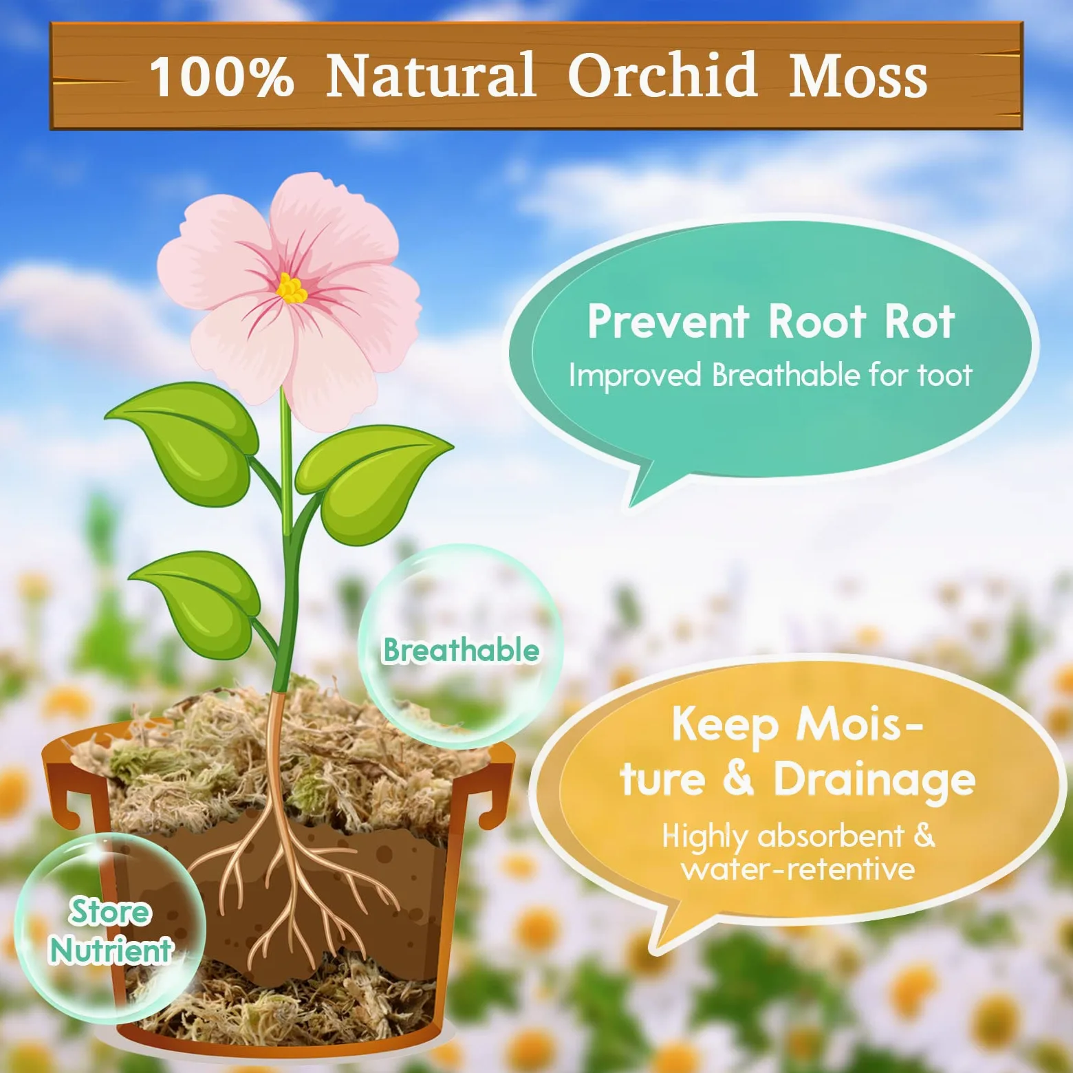 Riare Muschio di Sfagno, Torba a Fibra Lunga Naturale per Orchidee, Piante Carnivore, Vasi e Substrato - Ideale per Piante da Interno ed Esterno (Ri-Moss-150g)