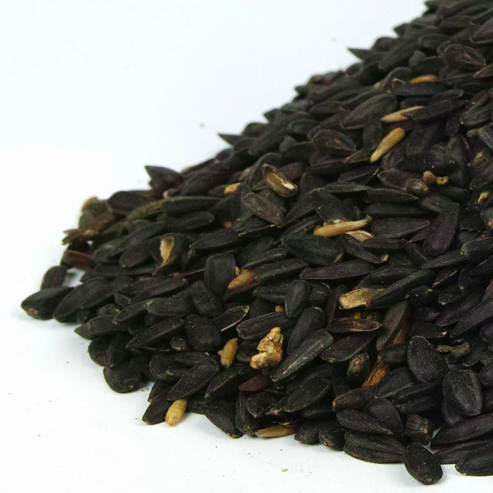Semi di girasole nero GardenersDream - Alimento ricco di olio per uccelli selvatici del giardino (10L)