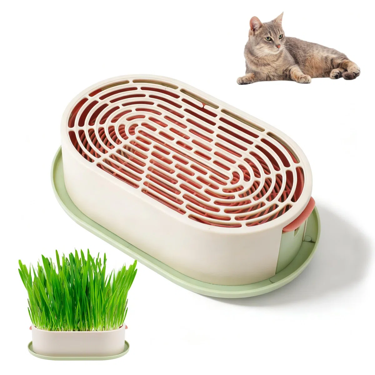 Fioriera idroponica in ABS per erba gatta con vassoio di germinazione, vaso per erba gatta per sistema di giardinaggio indoor, vaso per coltivazione di erba gatta senza suolo per il