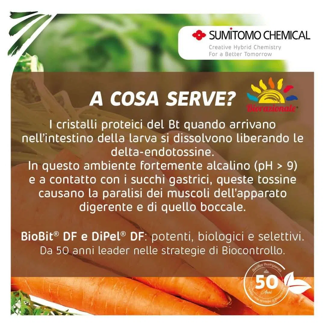 BioBit DF 1kg Insetticida biologico Bacillus thuringiensis, ativo contro larve di lepidotteri