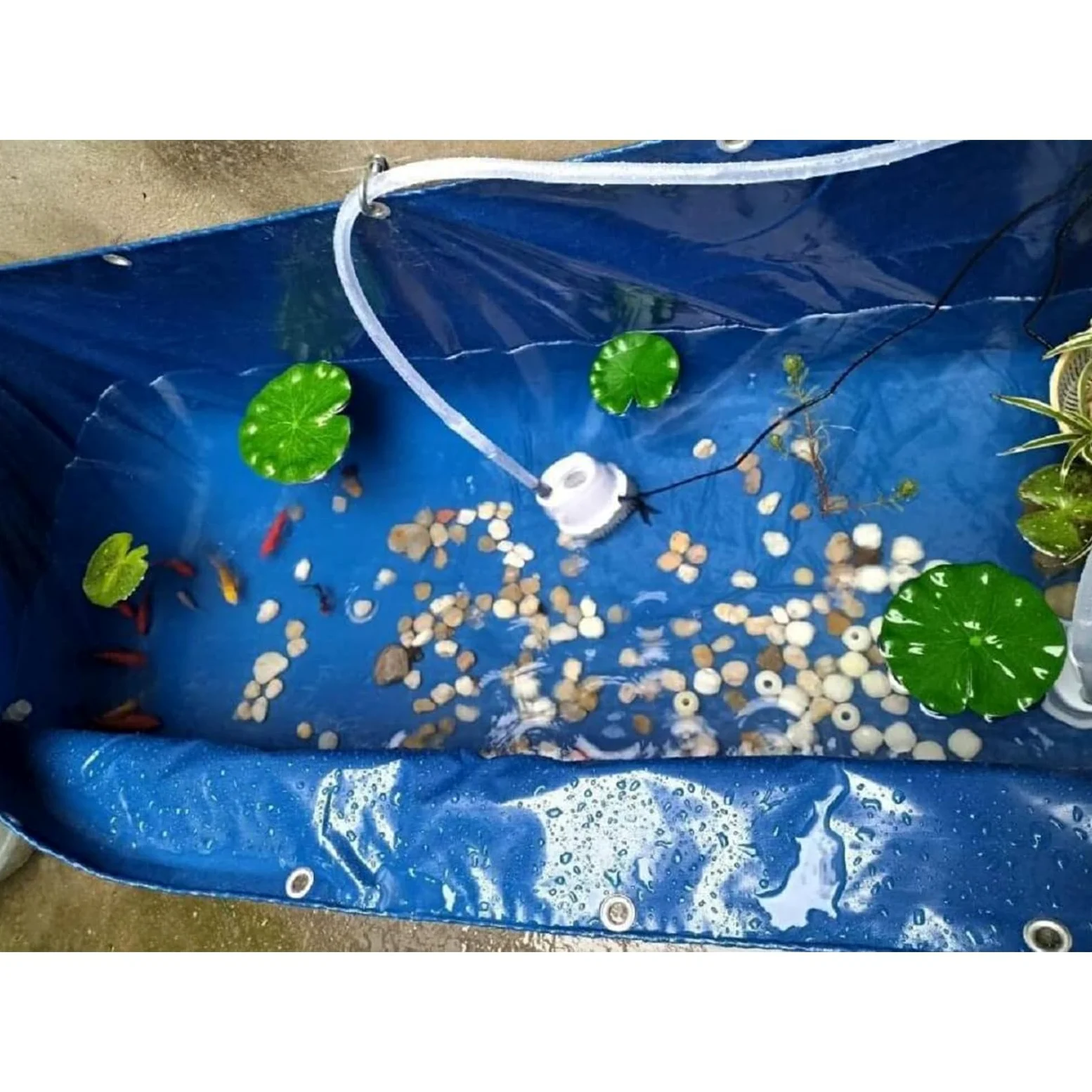 Laghetto per pesci in PVC fuori terra - Acquario portatile da interno per giardino ed esterno, ideale per pesci e piante acquatiche