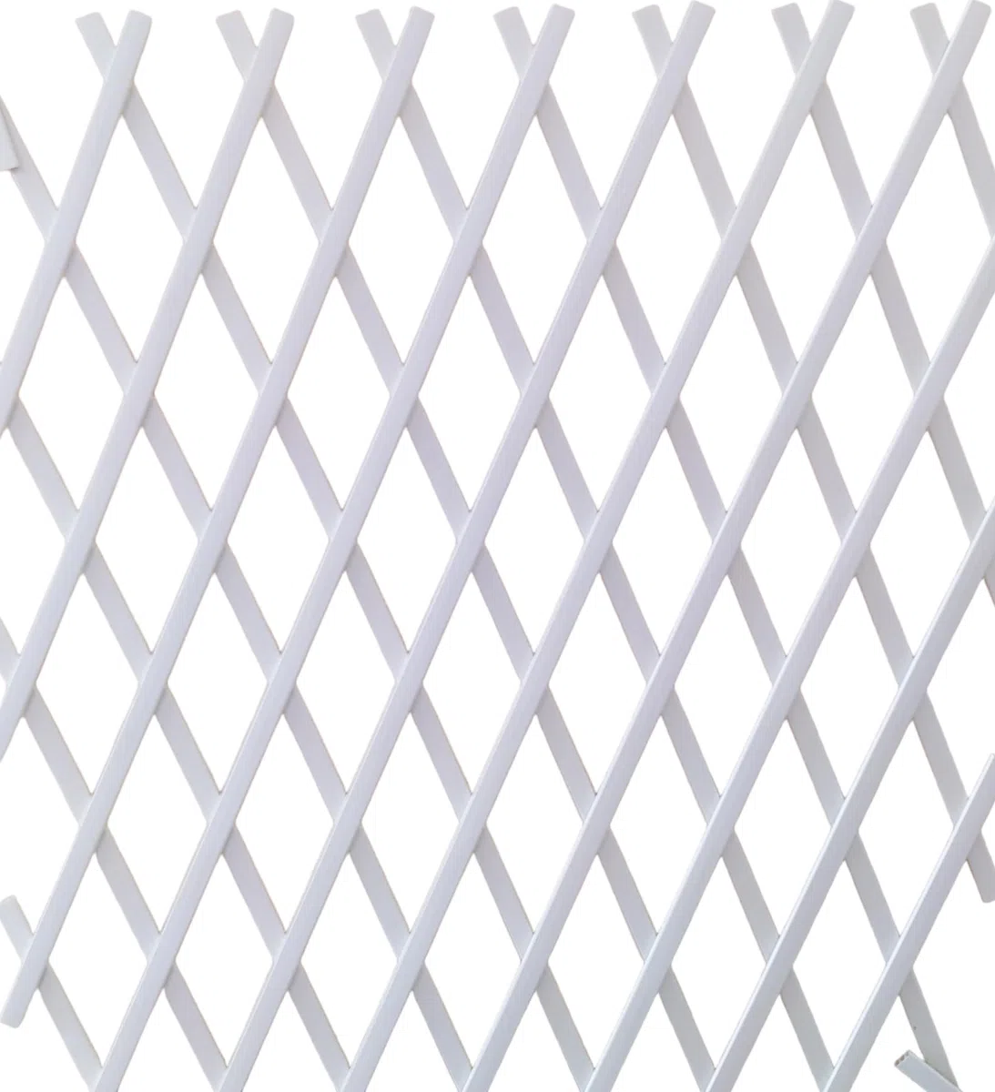 NG NICCOLAI - TRALICCIO ESTENSIBILE IN PLASTICA VARI COLORI E MISURE (1X1 MT, BIANCO)