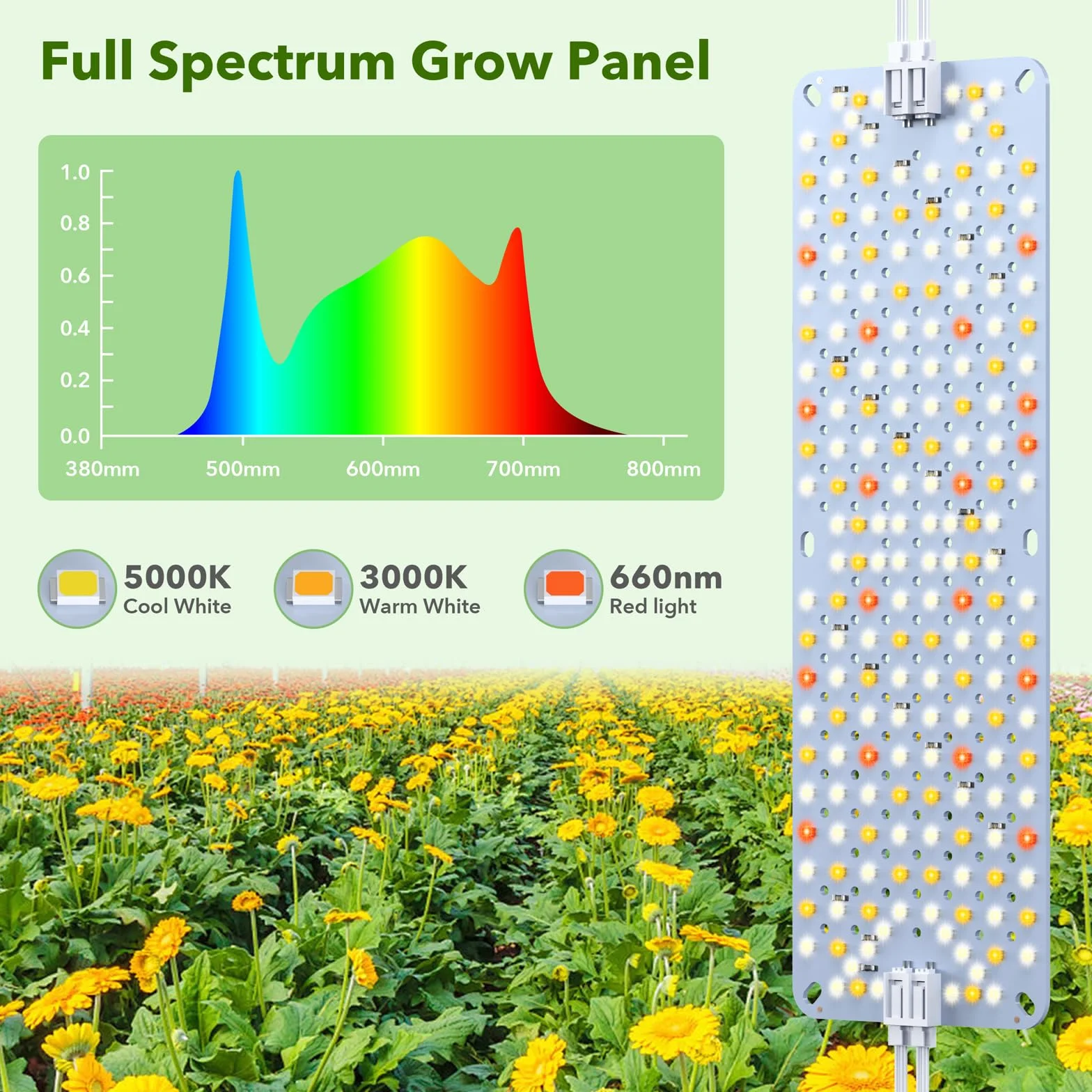 Confezione da 2 Lampade LED per Piante, Luce per Piante a Spettro Completo per Interni, Pannello Grow Light con Timer Automatico 4/8/12H, Lampada Crescita per Germinazione, Vegetativa e Fioritura