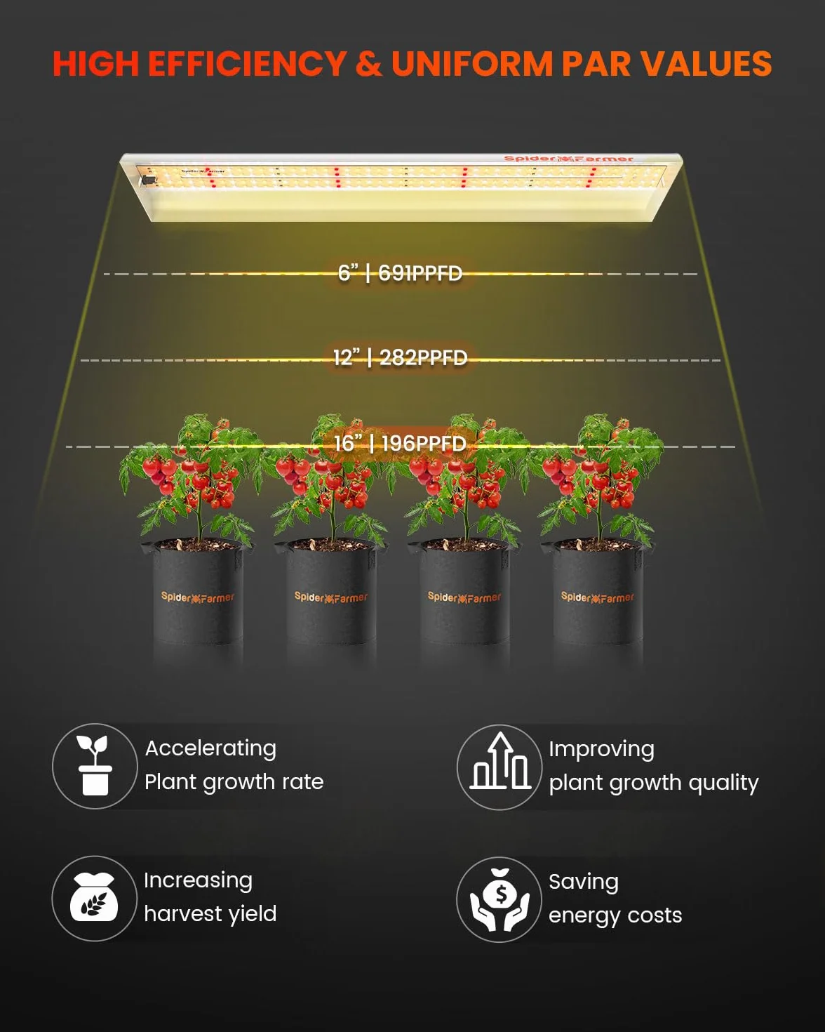 SPIDER FARMER SF300 Lampada da coltivazione per piante indoor Spettro solare Completo per Germinazione Vegetativo Fioritura Idroponica con 192 LED