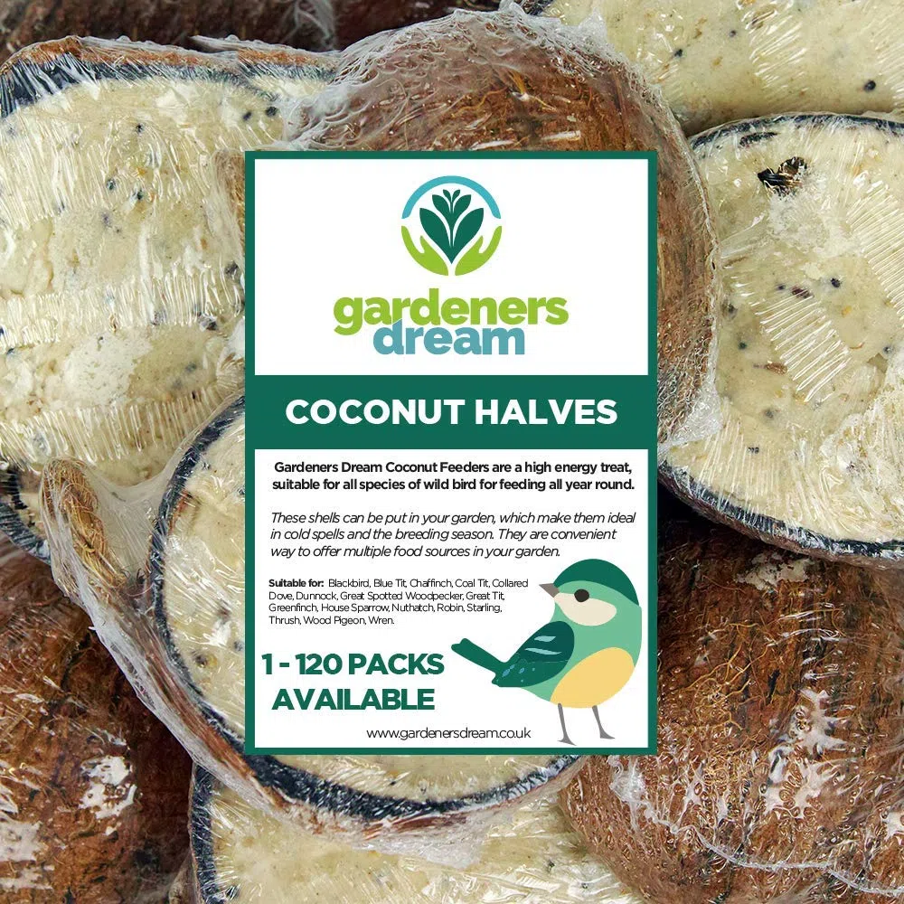 GardenersDream Mezze Noce di Cocco Ripiene di Suet - Cibo per Uccelli Selvatici a Base di Grassi per Giardino (15 metà)