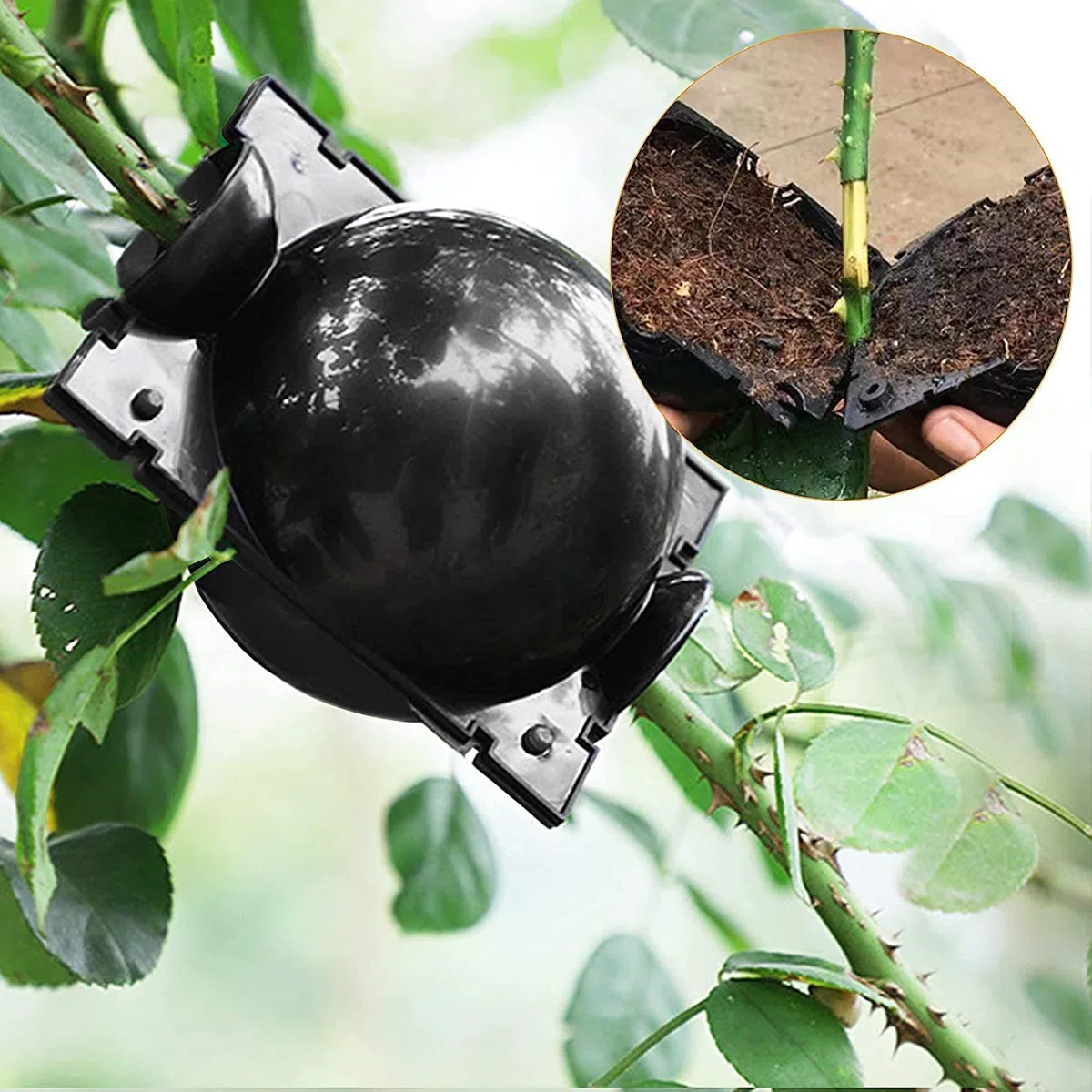 15 Pezzi Propagatori Alta Pressione, Scatola Radicamento Piante Riutilizzabile Dispositivo Innesto a Sfera Propagazione Scatola Radici Piante Giardino Assistita (L+M+S, Nero)