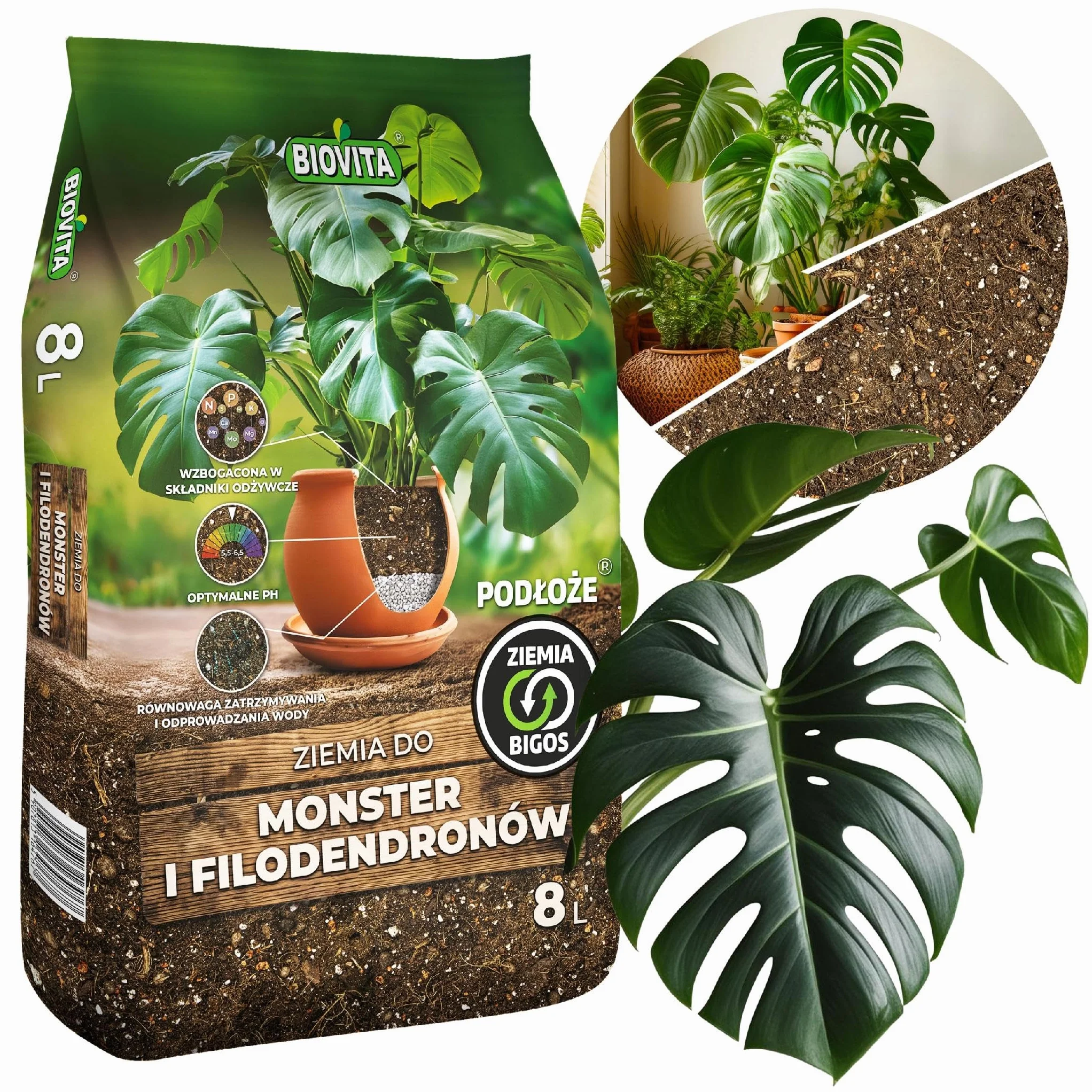 Biovita Substrato 8L per Monstera & Filodendro – Miscela di terra allentata con cocco & perlite – Substrato professionale per piante da appartamento