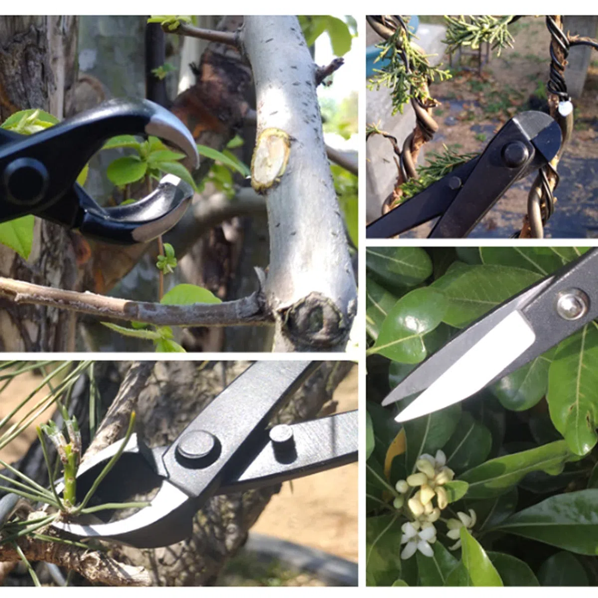 Set di attrezzi per bonsai Kit di rifinitura da giardino da 6 pezzi di grado professionale con custodia per appassionati di bonsai e giardinieri Lega di acciaio inossidabile
