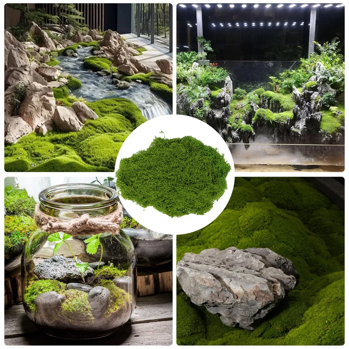 205 g, muschio per fai da te, muschio artificiale, muschio islandese, muschio islandese, presepe terrario, Moss acquista muschio naturale, decorazione, arte finte, decorazione per pareti, presepi