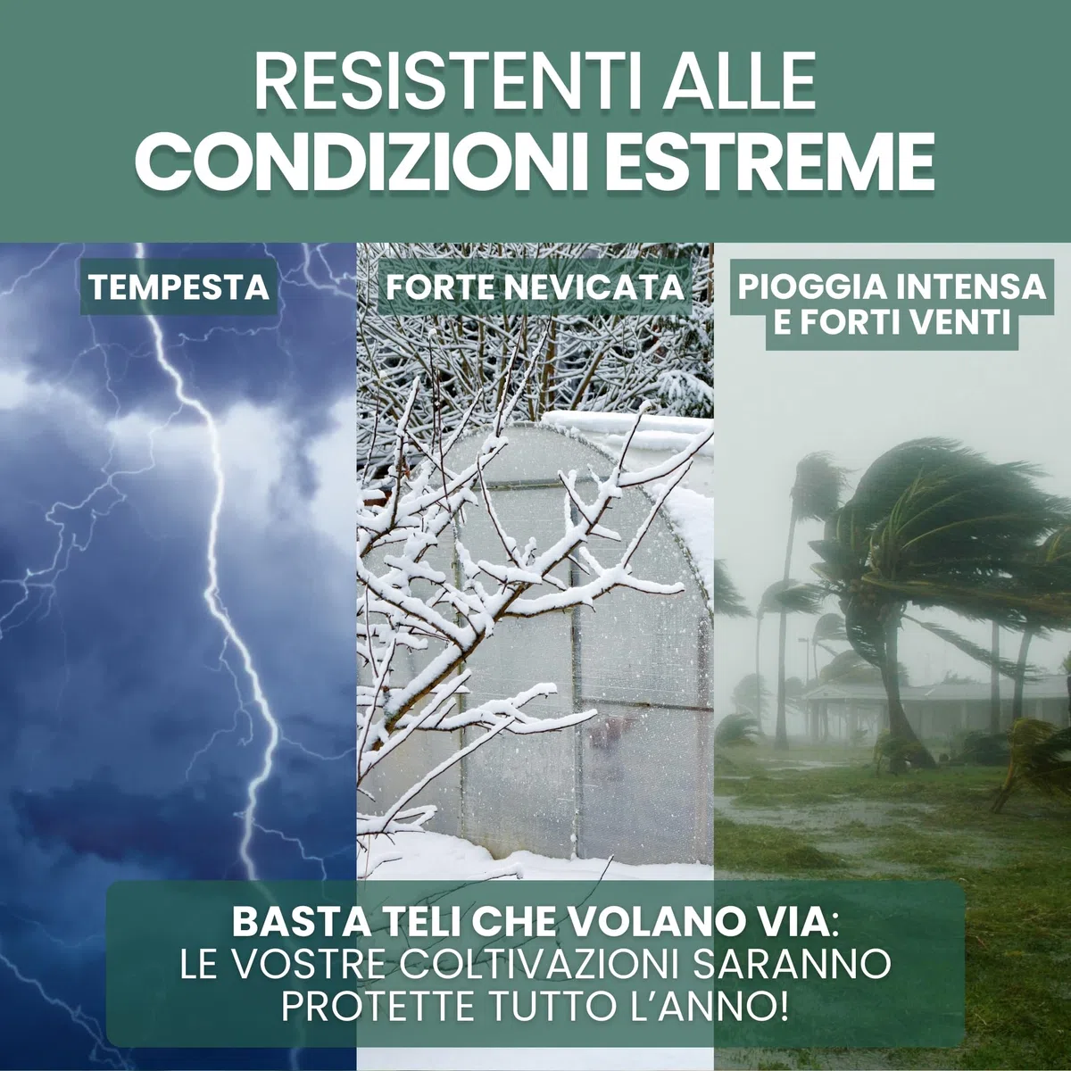 25 clip per serra diametro 32 mm in acciaio zincato, clip di fissaggio in metallo per telone da serra tunnel per giardino, protezione piantine e piantagioni, resistenza al vento e tempeste