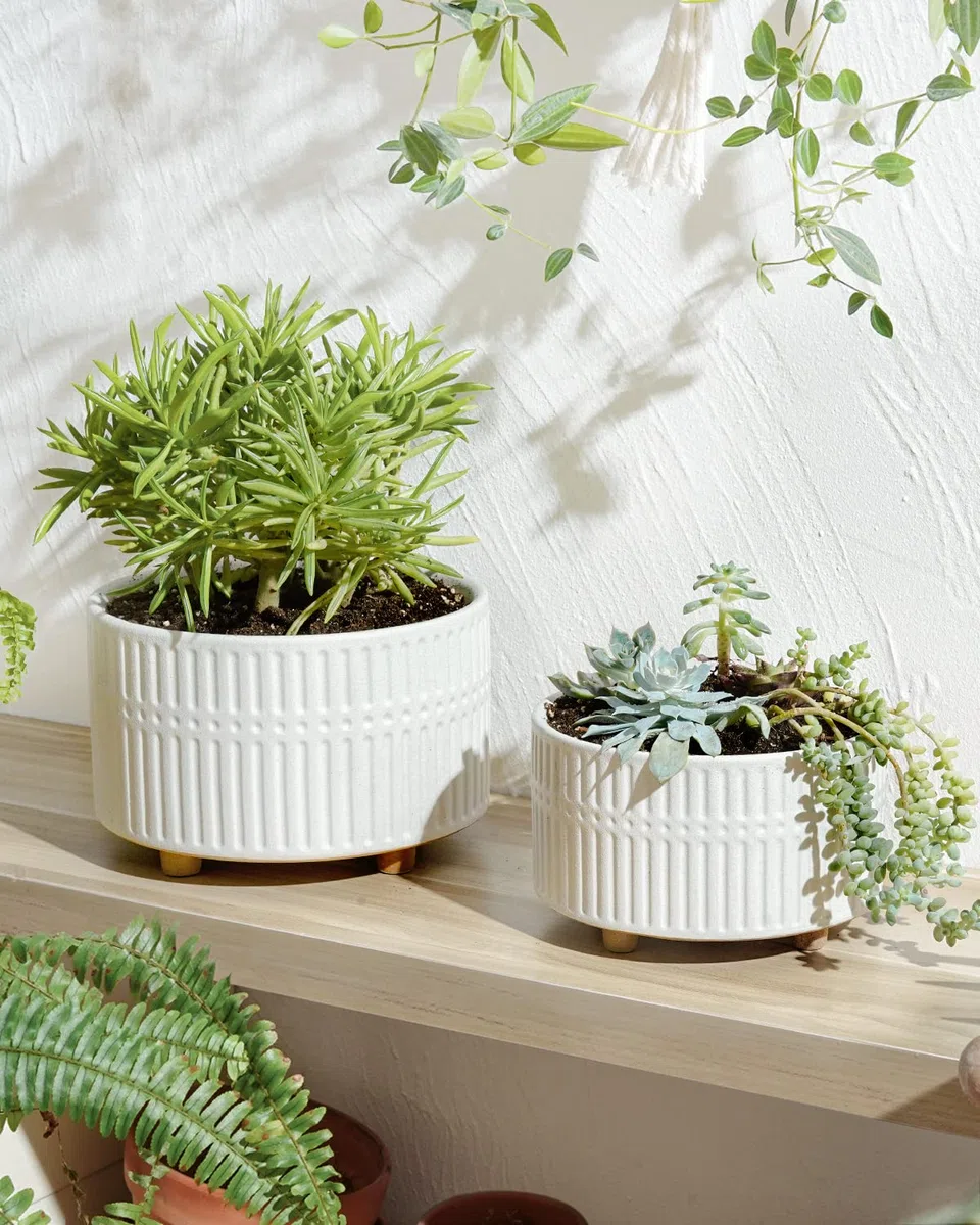 LE TAUCI Vasi per Piante Grasse, 16.5+20 cm Vasi per Piante da interno in Ceramica con Foro di Drenaggio, Fioriere da Balcone Bassi Rotondi per Piante Grasse, Set di 2, Bianco