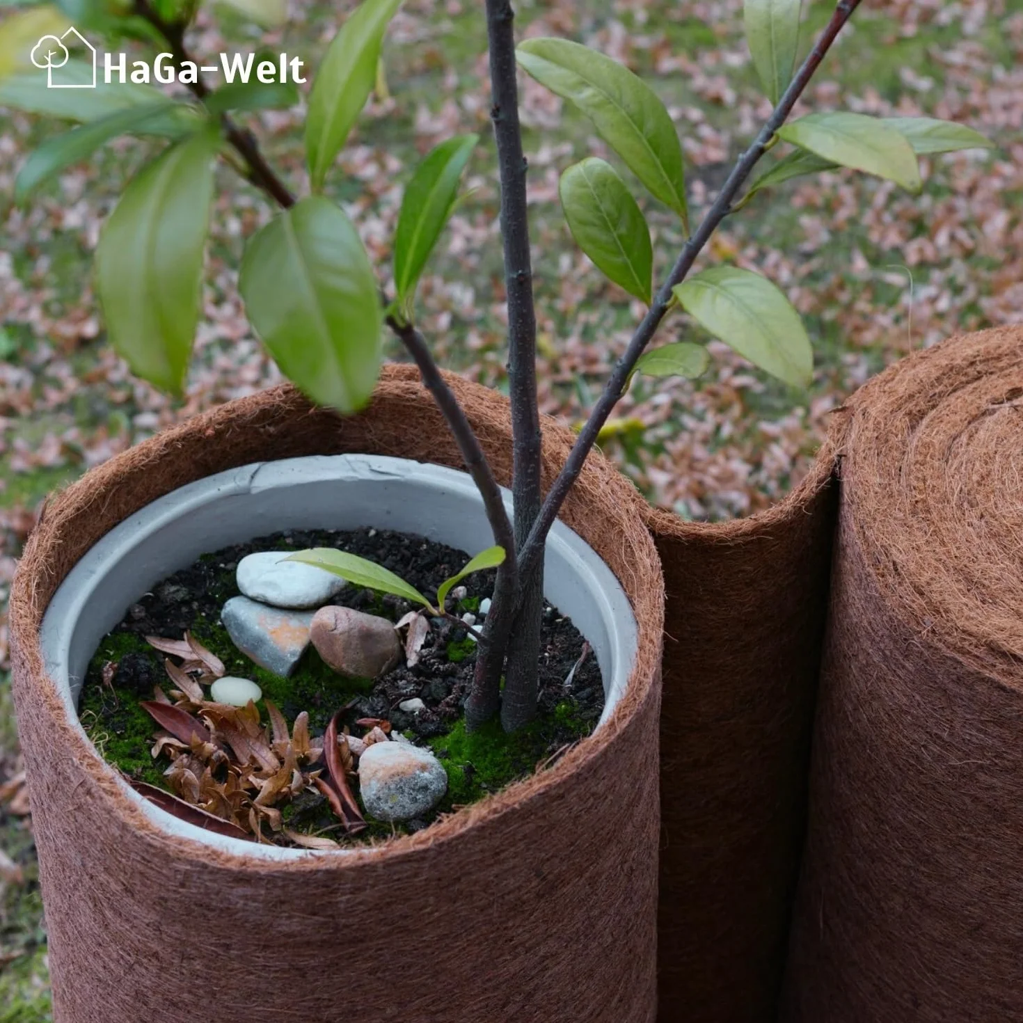HaGa® Tappetino in cocco 1 m x 5 m con protezione invernale 800 g/m², spruzzato su un lato con lattice naturale, prodotto naturale 100% biodegradabile