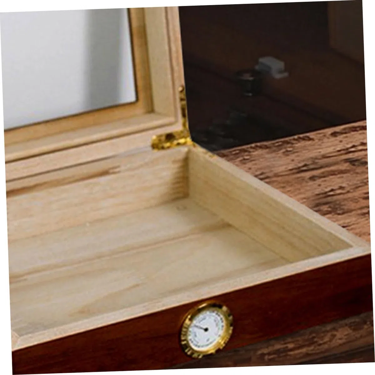 5 Pezzi Hygrometro Meccanico per Humidor Strumento Umidità per Box Alta Precisione e Facile Installazione