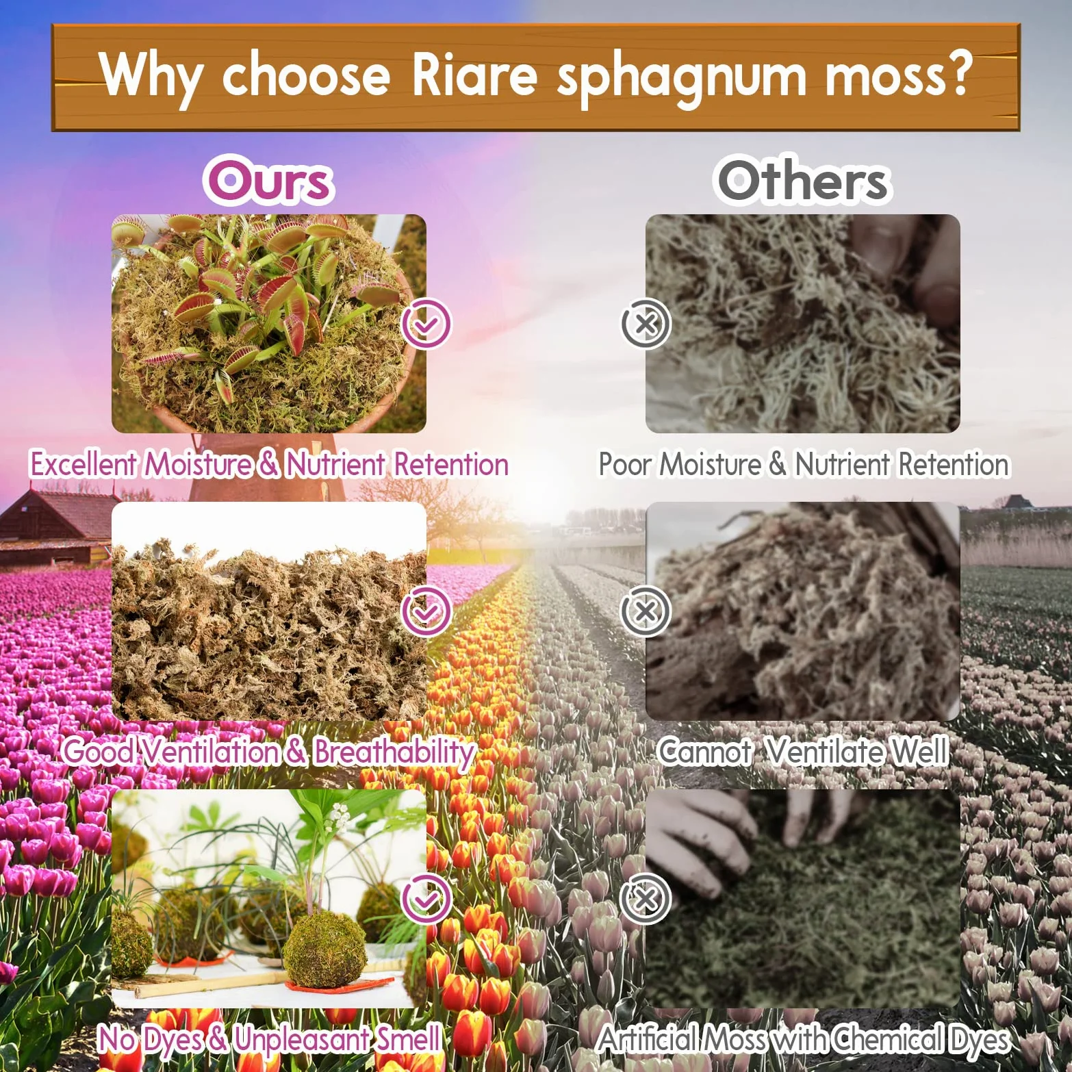 Riare Muschio di Sfagno, Torba a Fibra Lunga Naturale per Orchidee, Piante Carnivore, Vasi e Substrato - Ideale per Piante da Interno ed Esterno (Ri-Moss-150g)
