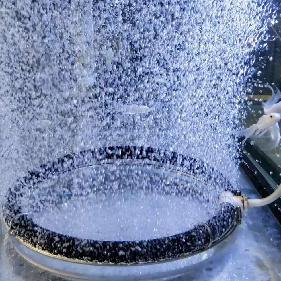 Diffusore d'aria per laghetto, aeratore idroponico ponderato in acciaio inox KoiPond a tre anelli, migliora la salute di pesci e piante (1 anello / Ø 15 cm)