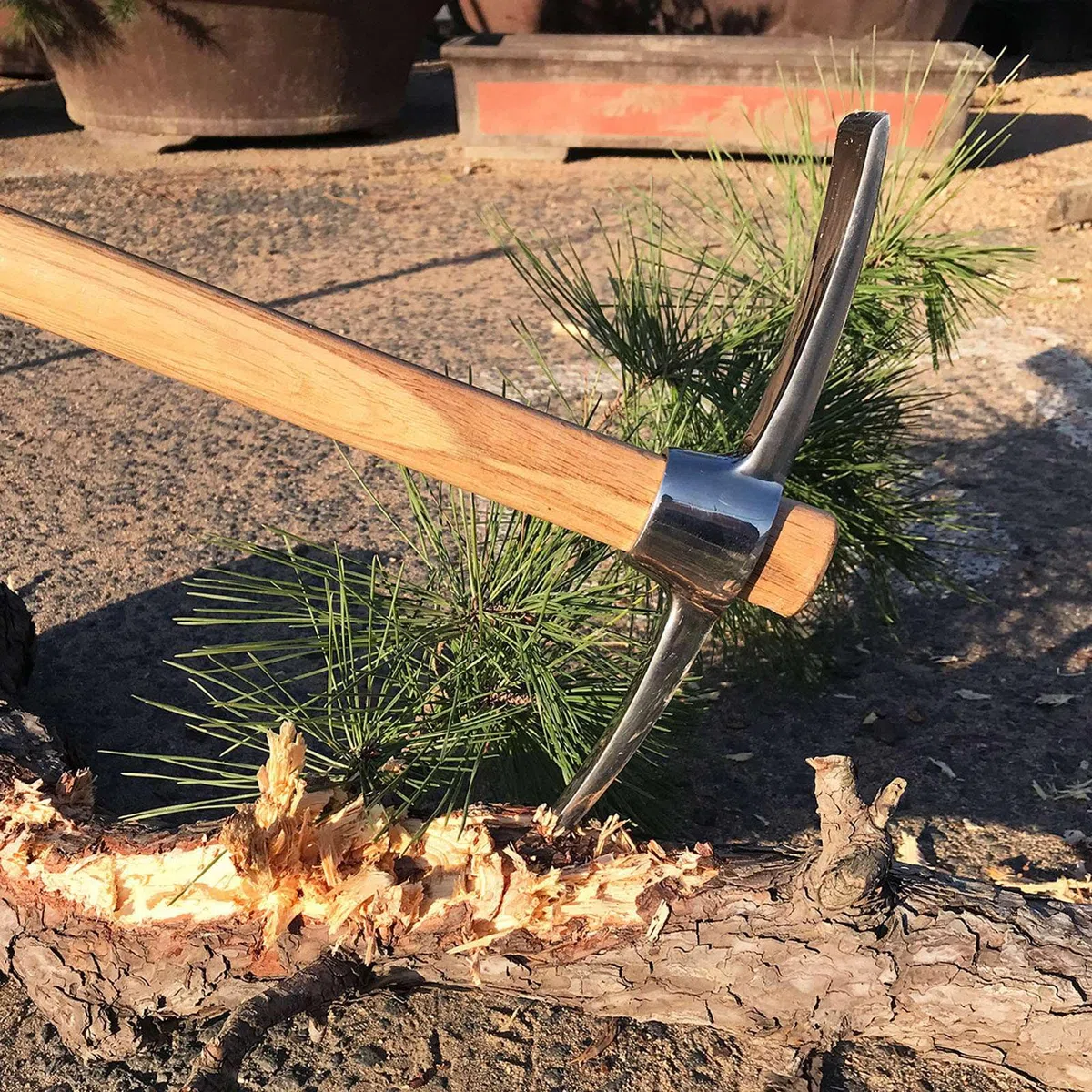 Picconi da Giardinaggio, Zappa per zappa in Acciaio Inossidabile con Manico in Legno per Trapiantare Scavare Piantare Allentare il Terreno Campeggio o Prospezione