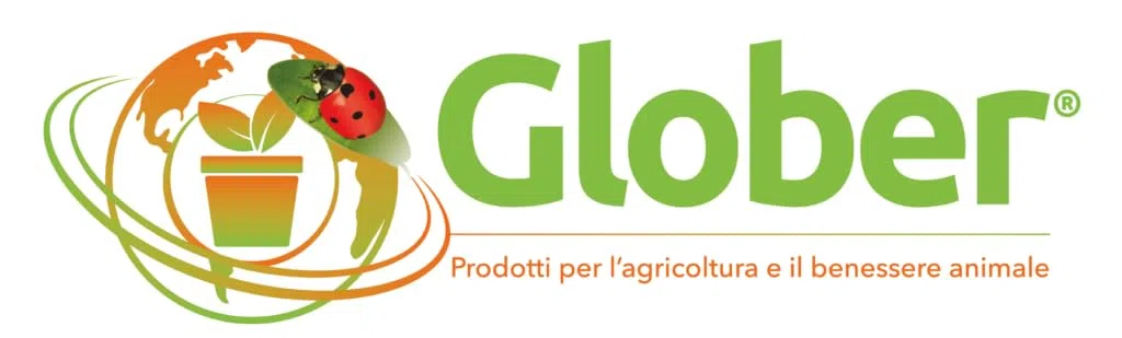 GLOBER Concime Agrumi 1 litro - Fertilizzante per agrumi - Azoto Fosforo Potassio e microelementi chelati