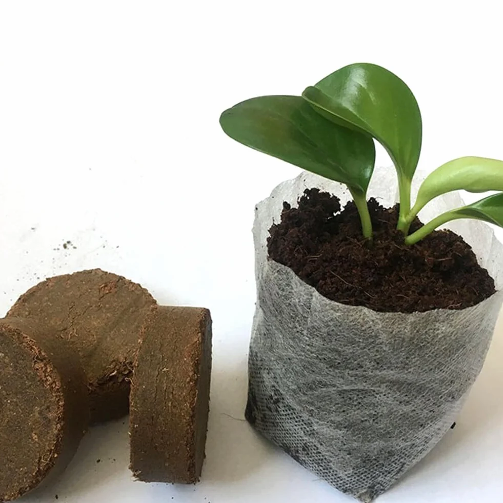 50Pcs Vassoio Per Piantine Pellet Di Torba Blocco Nutrizionale Per Coltivazione Di Piante, Torba in Dischetti Coltura Del Suolo, Avviamento Di Propagazione E Germinazione