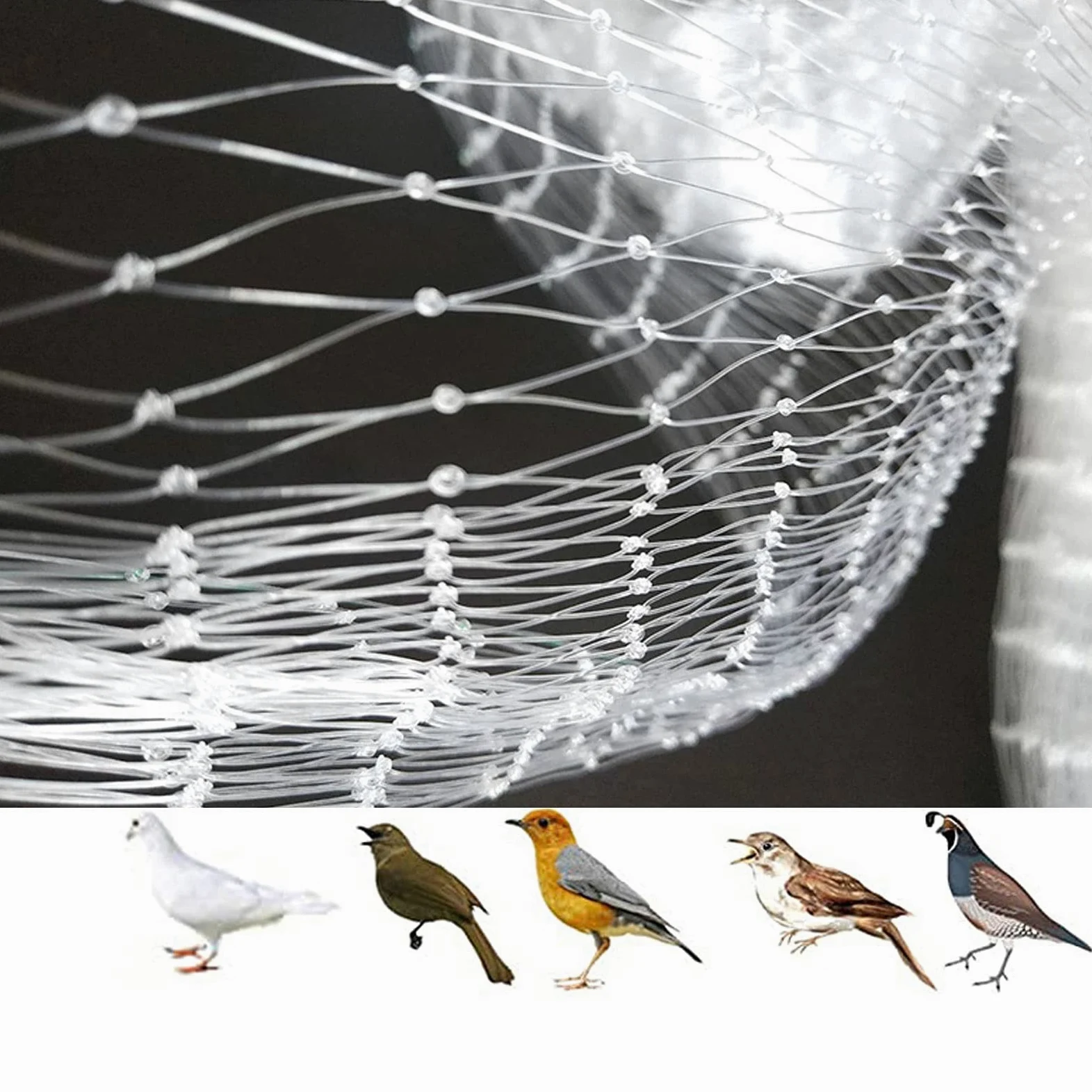 Rete per insetti a maglie strette， White Nylon Garden Bird Netting 2cm/2.5cm Mesh Bird Protection Multiple Sizes(2.5cm,3m x 8m)