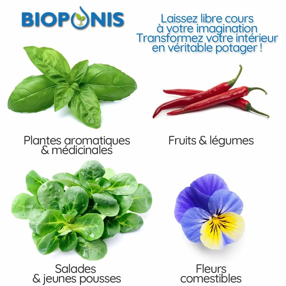 Eden Nero - Orto da Interno Idroponica per Piante aromatiche - 5 Posizioni di Coltivazione