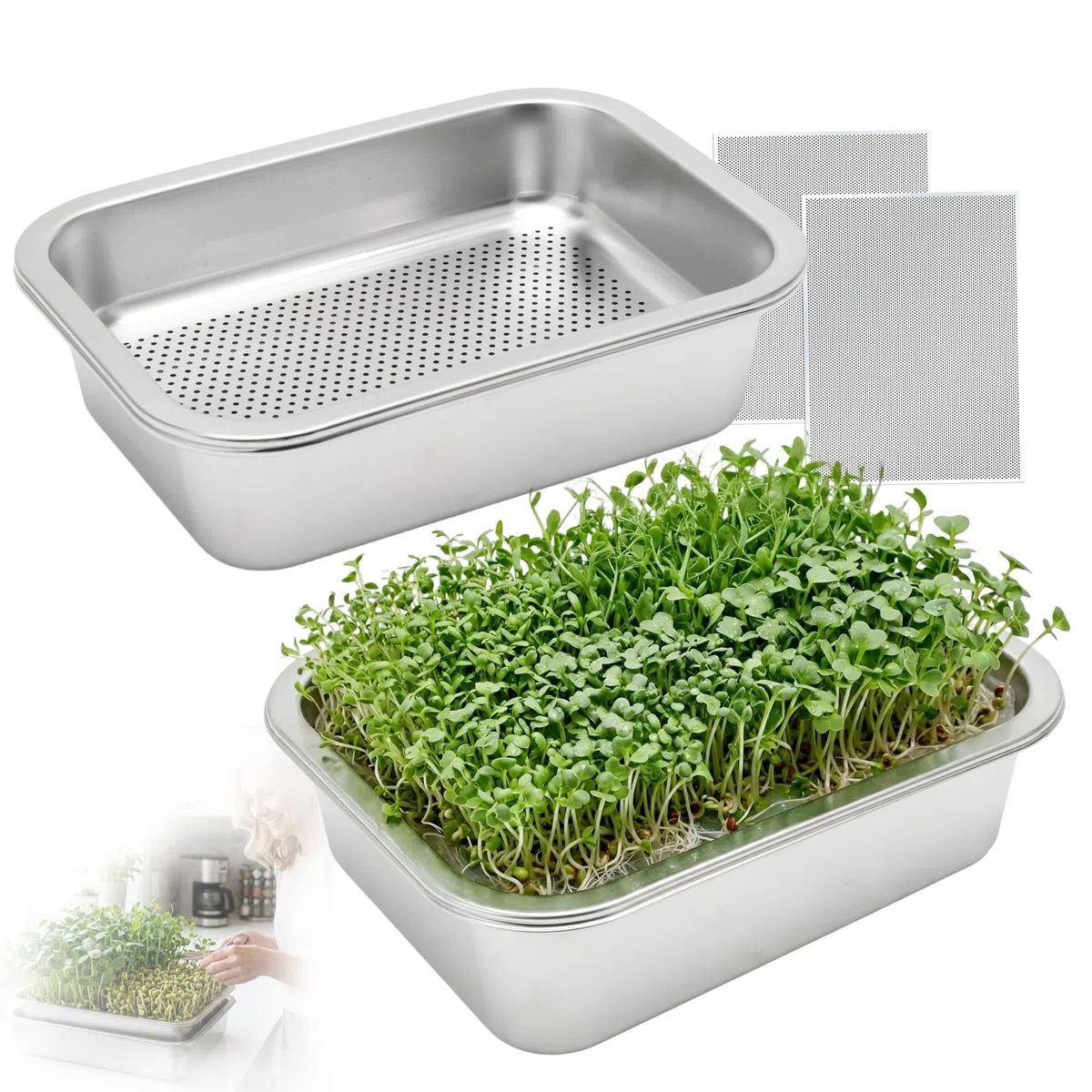 Set 2 Vassoi Germinazione in Acciaio Inossidabile 2 in 1 26 x 19 cm con Colino Fine e Vassoio per Germogli Crescita Microgreens Erba di Grano Riutilizzabile Anti-Ruggine Lavabile in Lavastoviglie