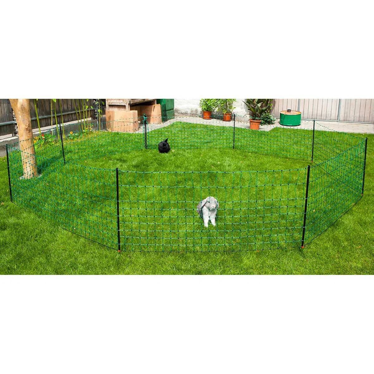 Kerbl, Rete per Coniglio, 50 m, 65 cm, Verde