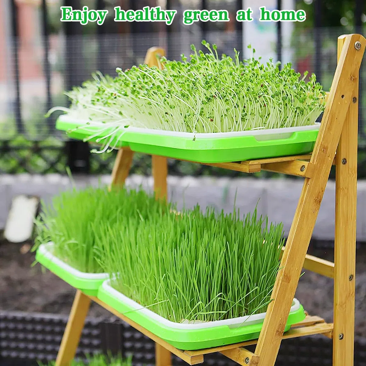 5 Pezzi Vassoi per la Germinazione Dei Semi Germogliatore Per Semi Vassoi per Semi 34X25cm Vassoio di Germinazione di Grande Capacità Propagatore Idroponico Sano Senza BPA